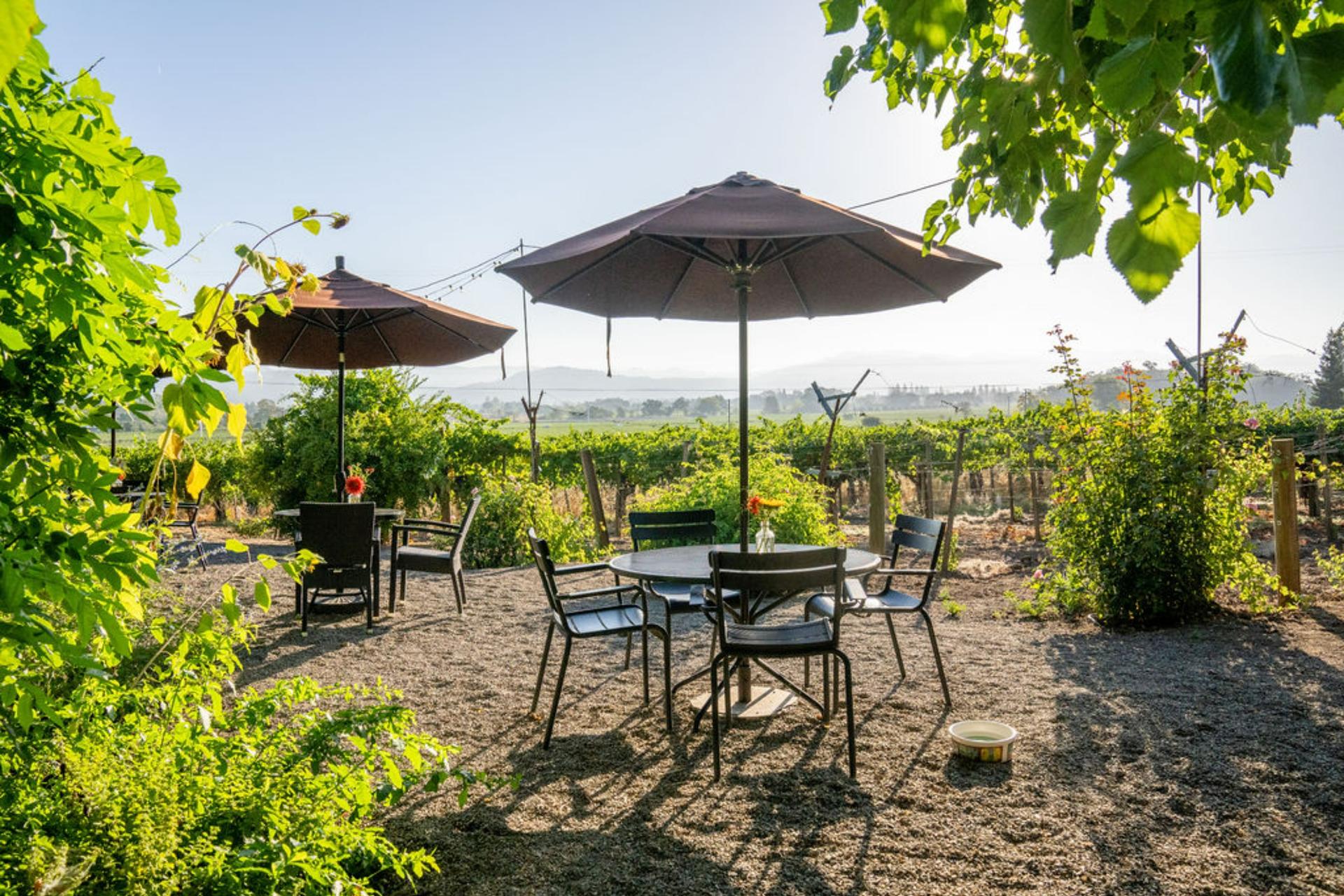 Tasting Room