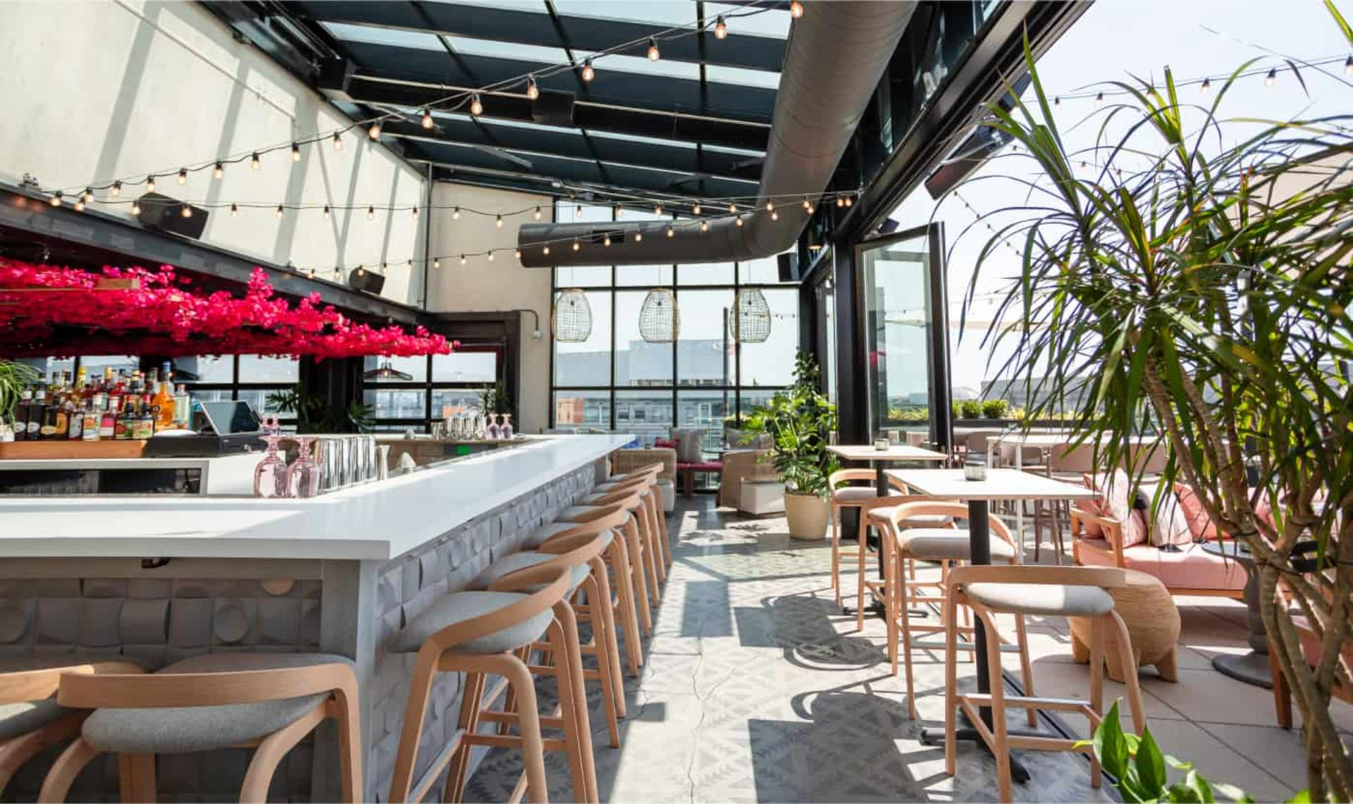 Partial Buyout of Lucha Rosa