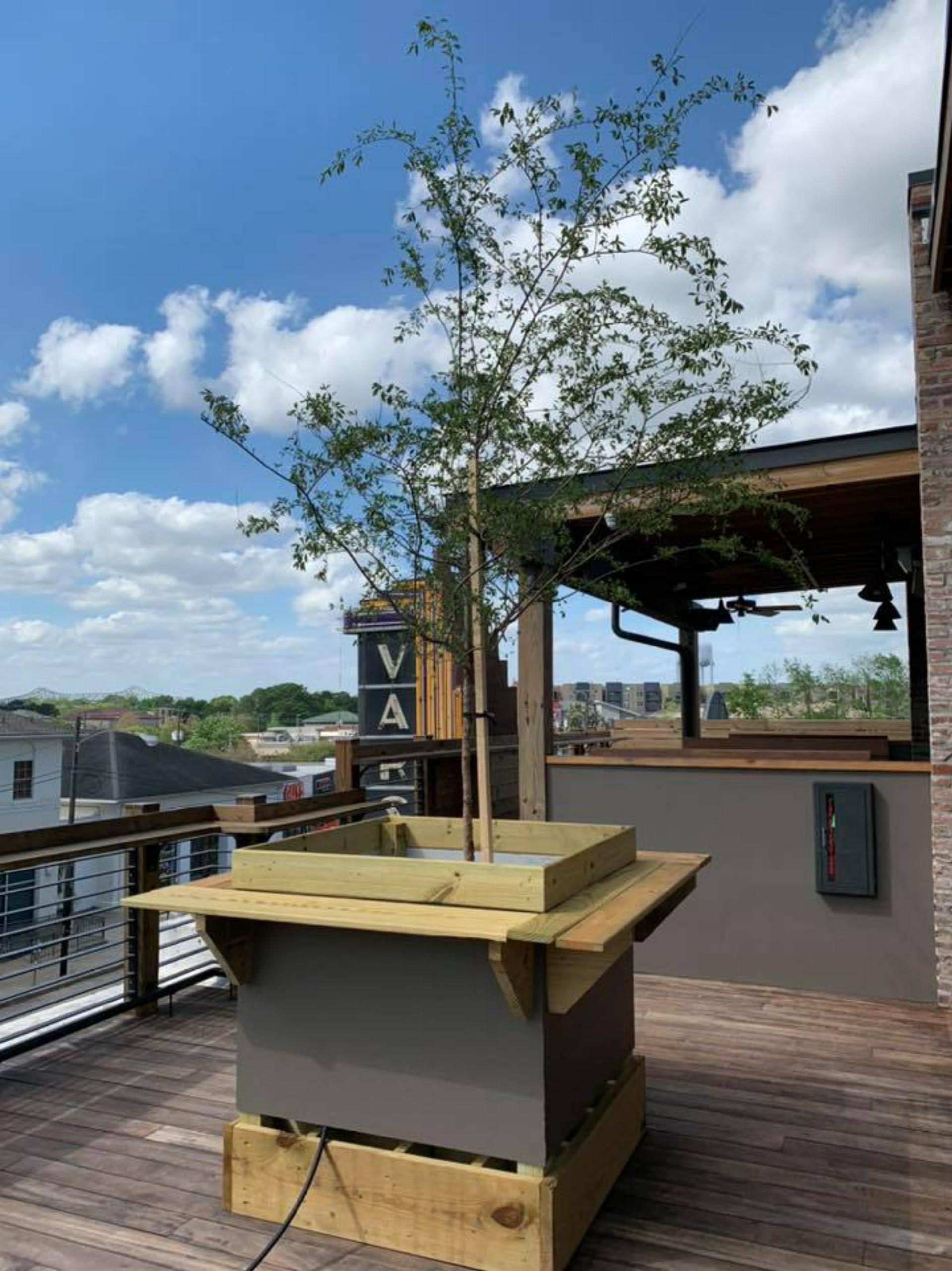 Rooftop