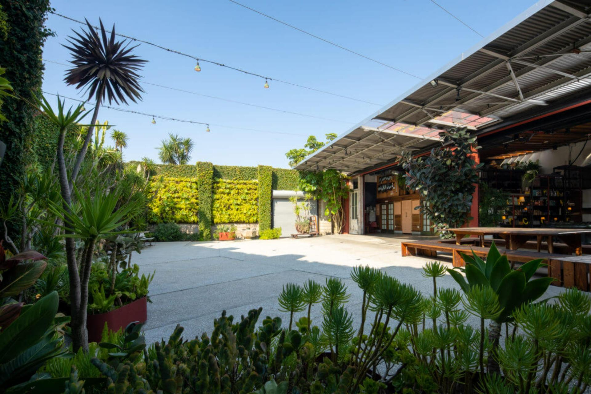 Courtyard Garden