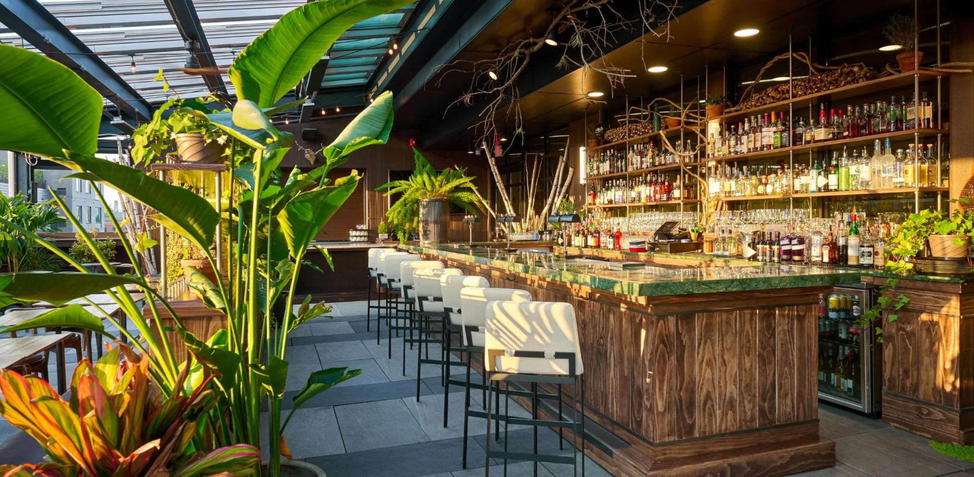 Full Buyout of High George by Siena