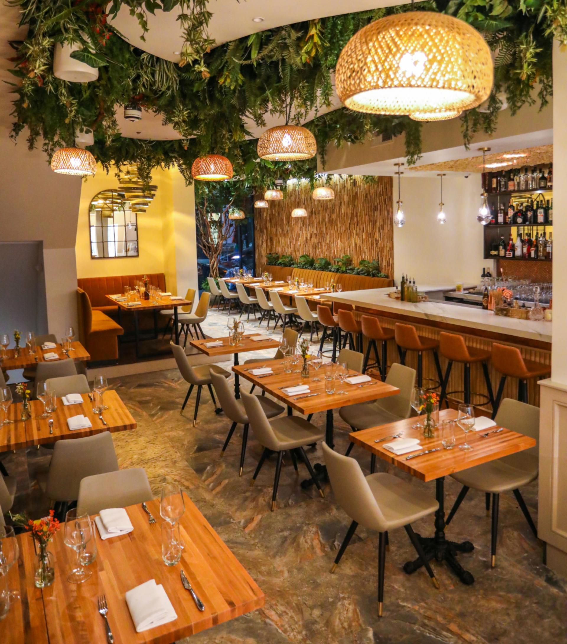 Full Buyout of Artesano