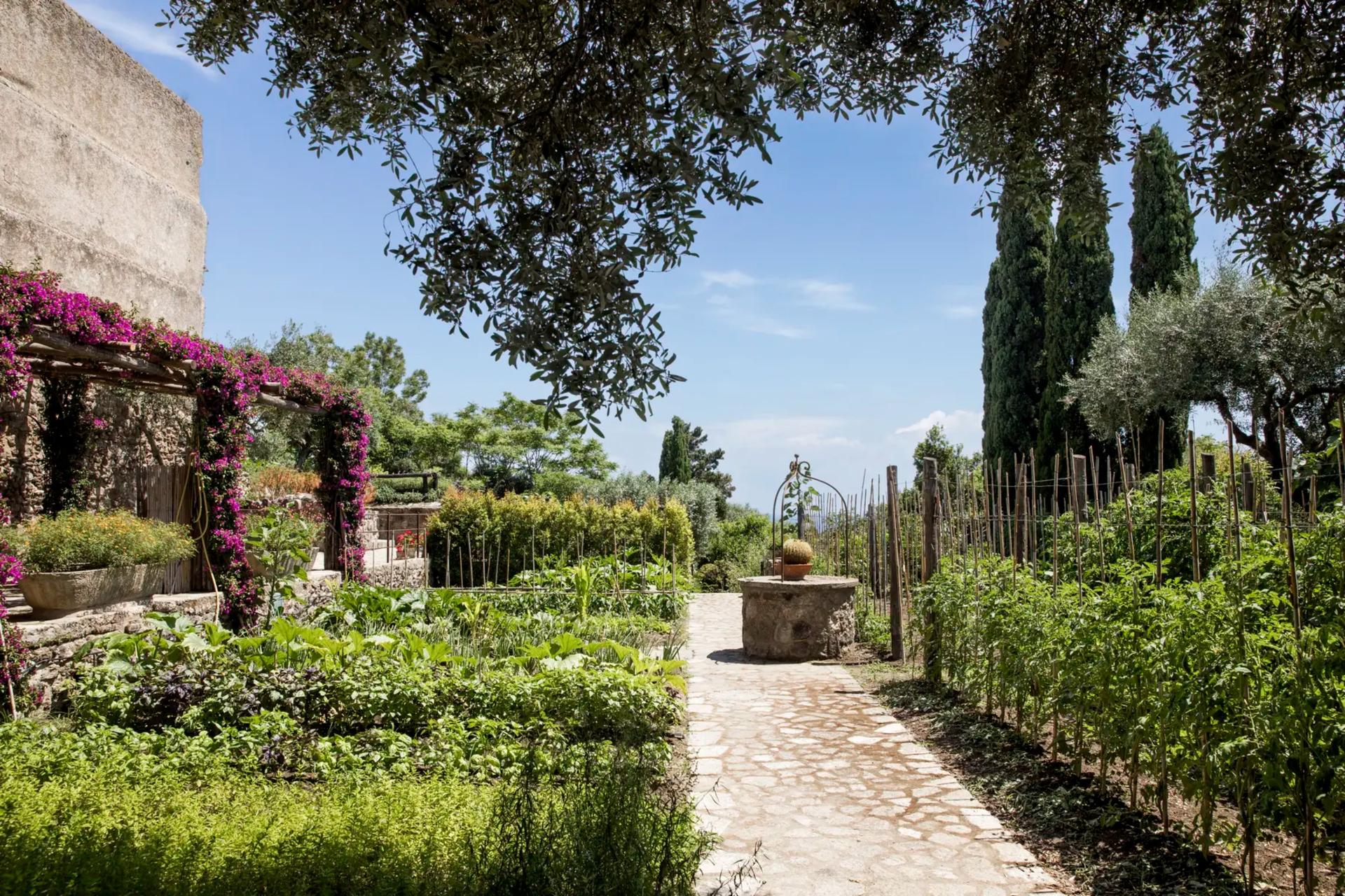 Vegetable Garden
