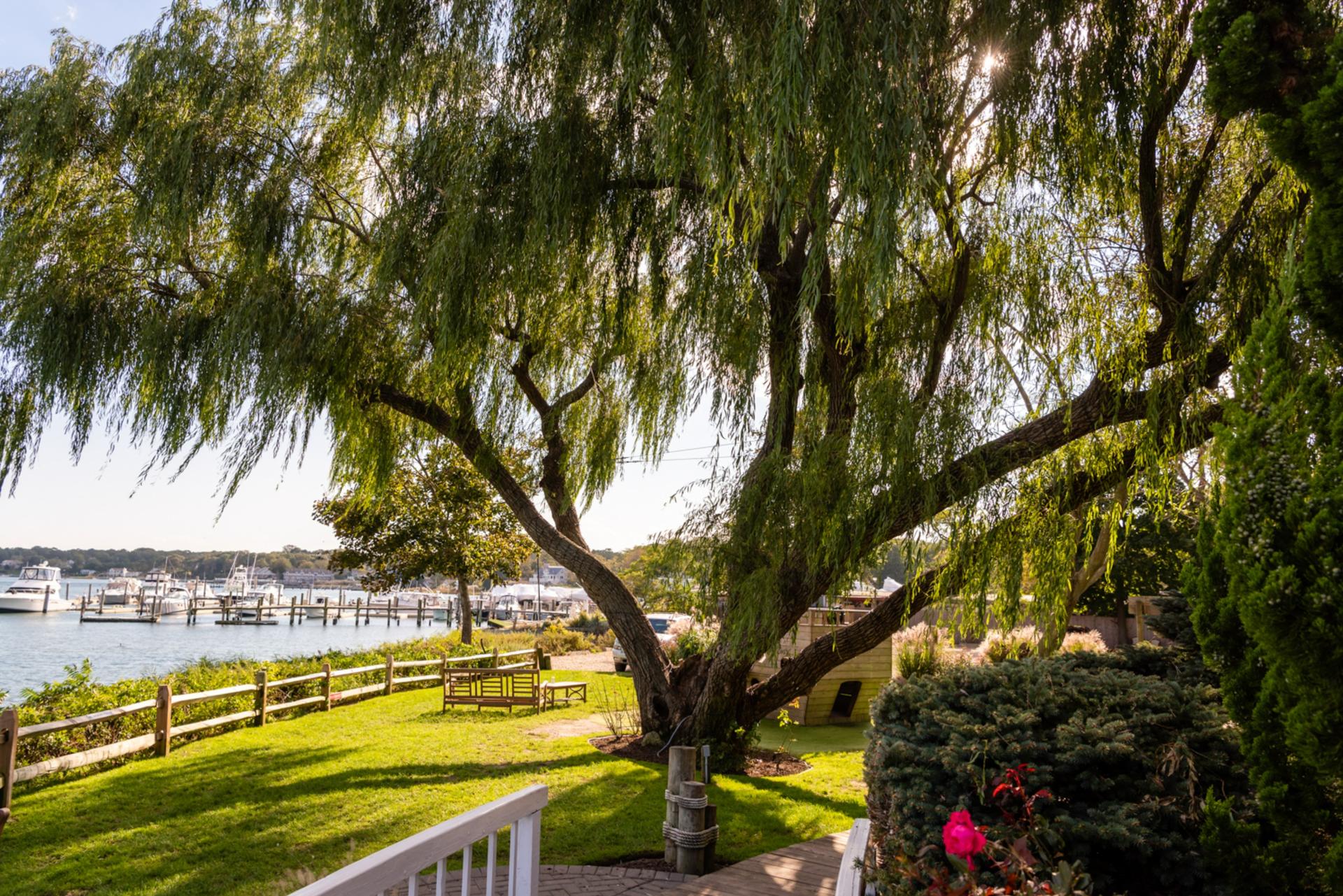 Outdoor Event Space