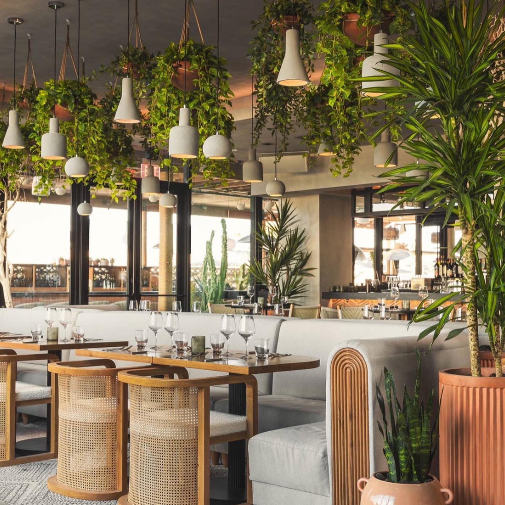 Main Dining Space