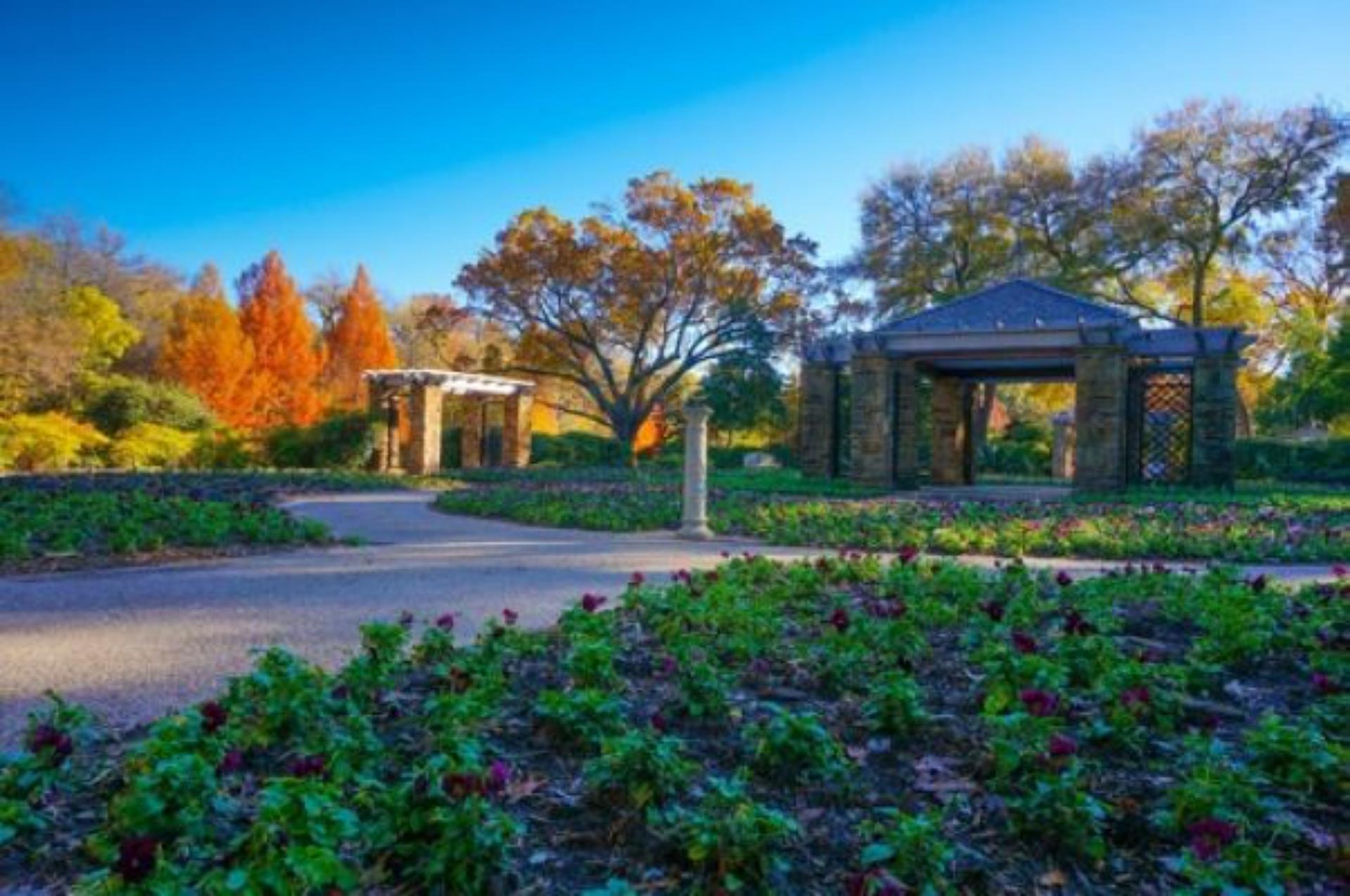 Oval Rose Garden