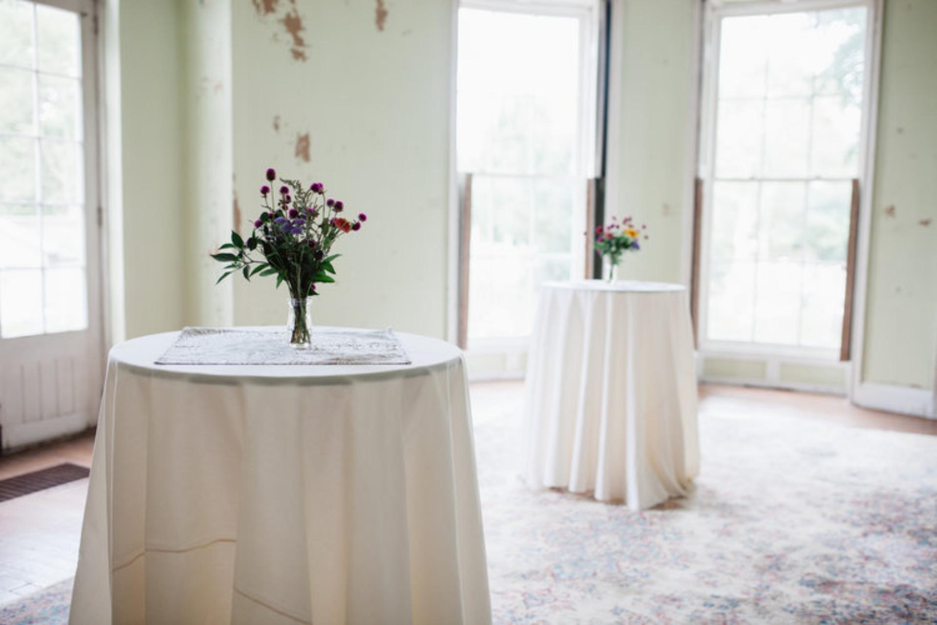 Hamilton Mansion - Drawing Room