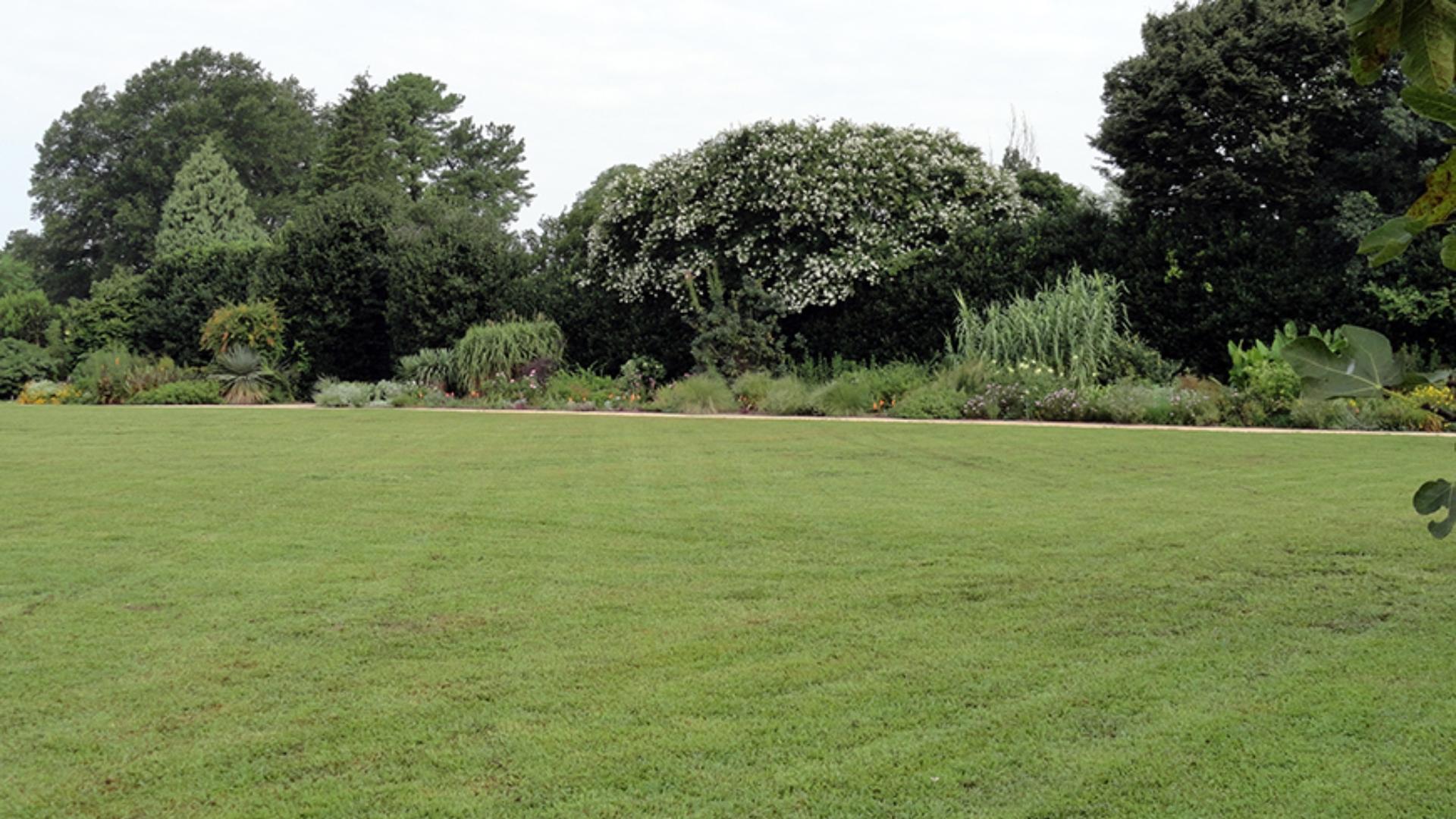 Great Lawn
