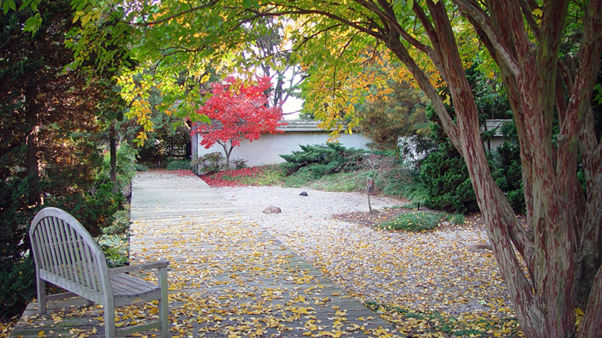 Japanese Garden