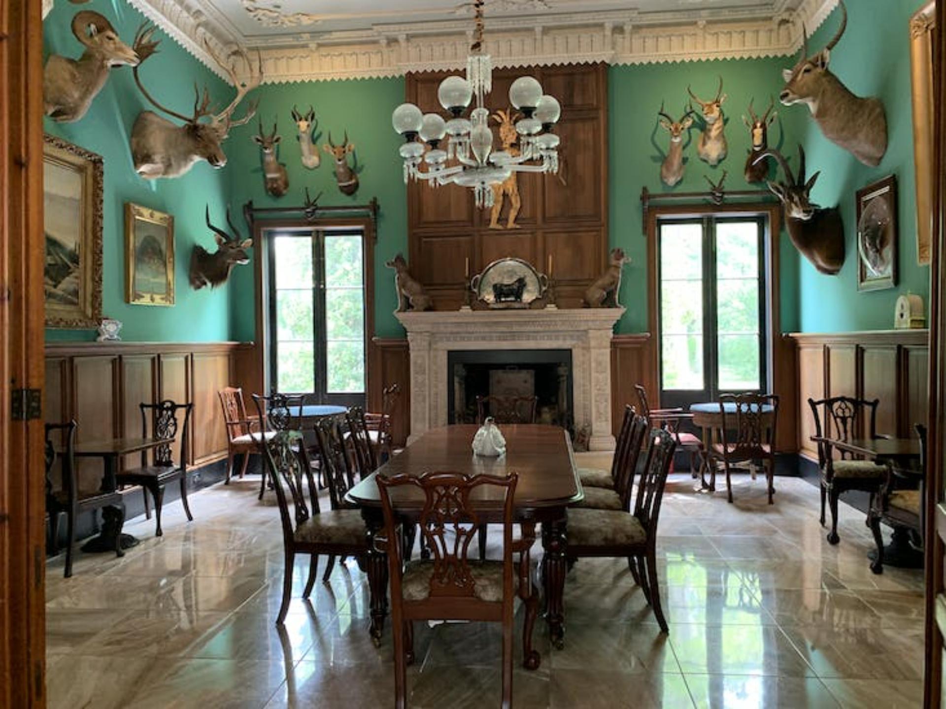 Animal Trophy Room