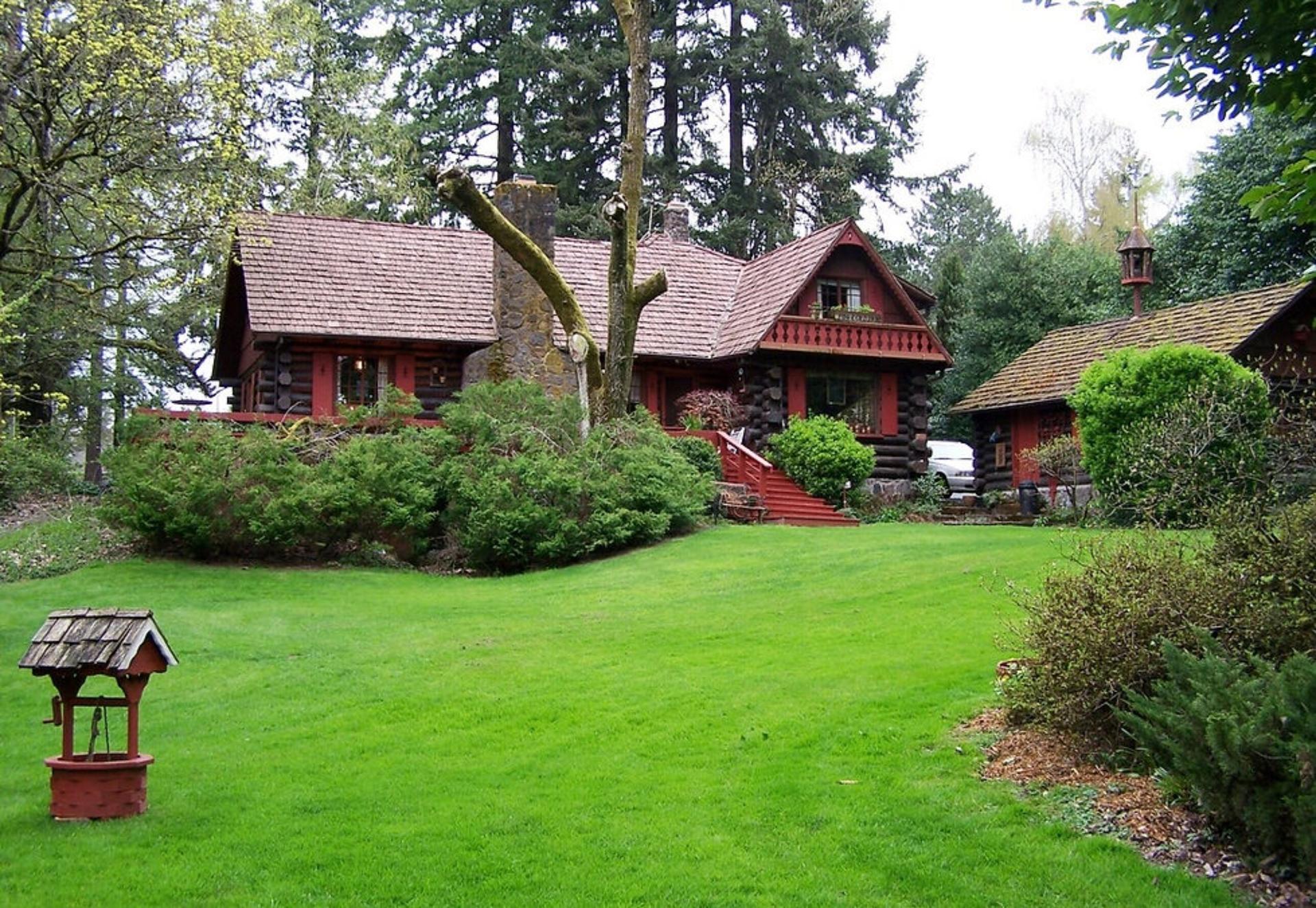 Backyard Lawn