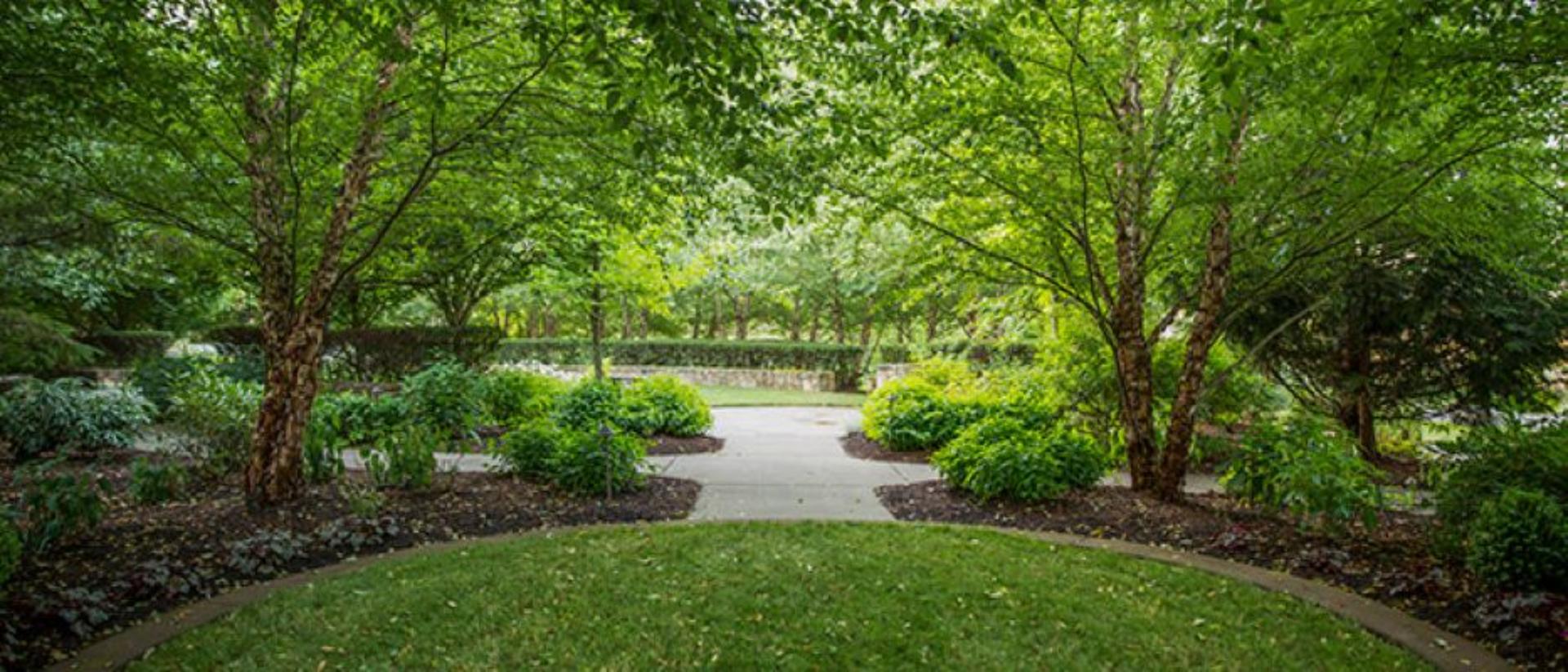 Meadow Garden