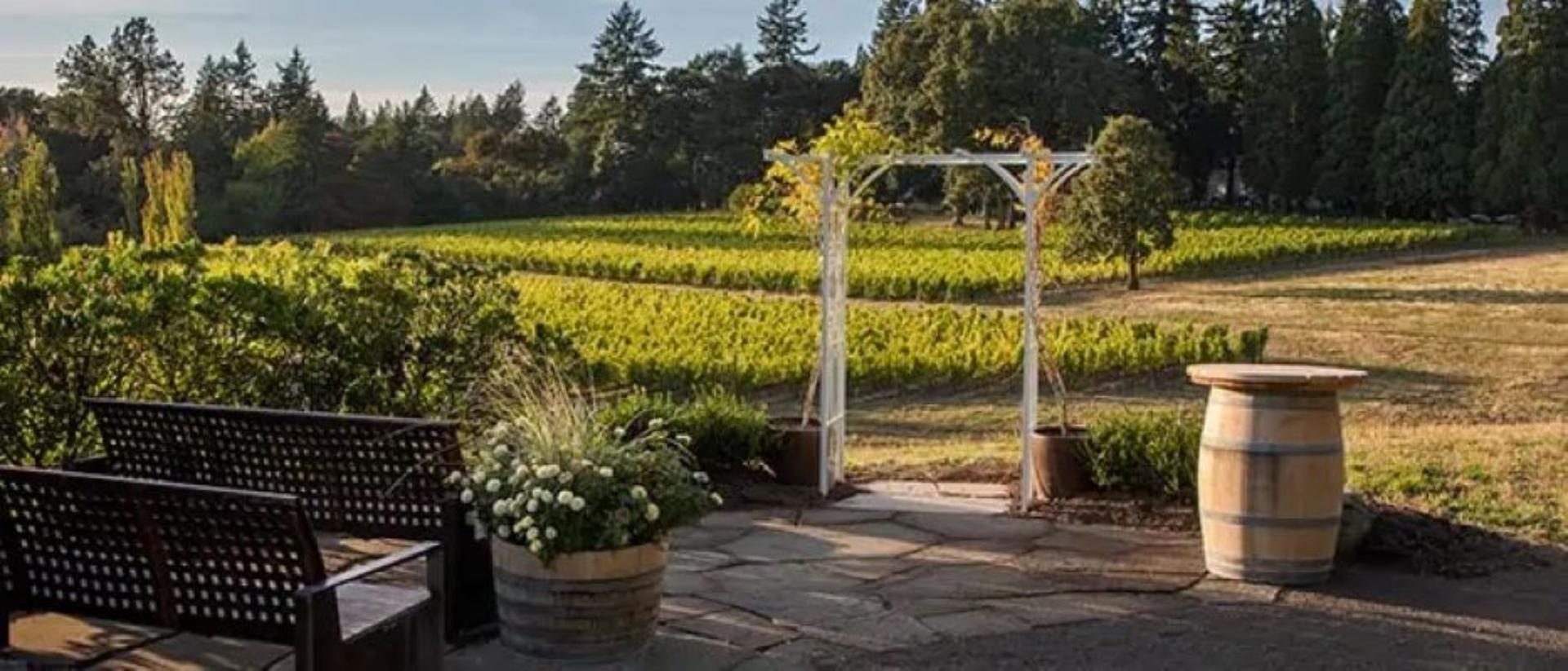 The Vineyard Overlook