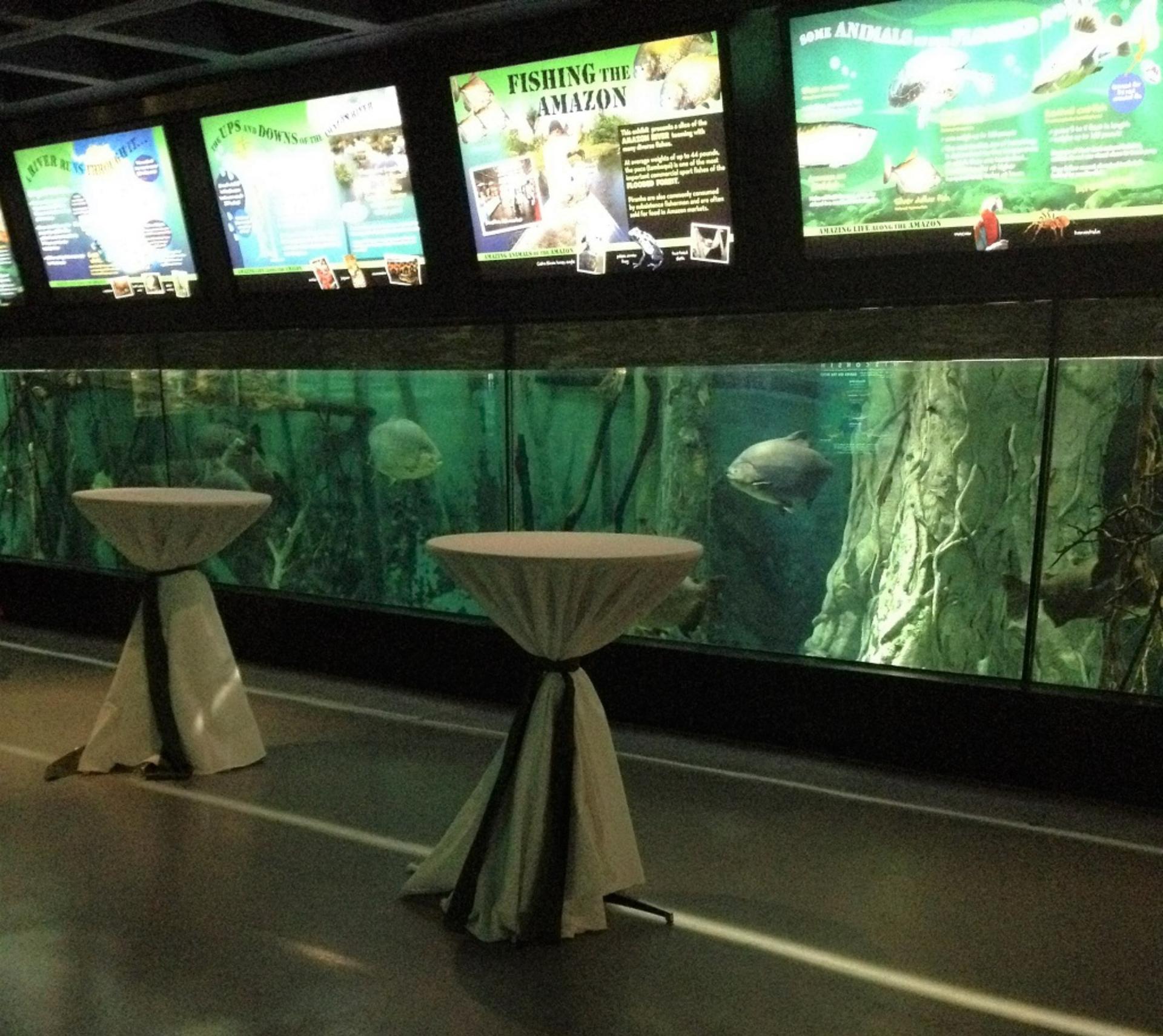 Aquatic & Reptile Center