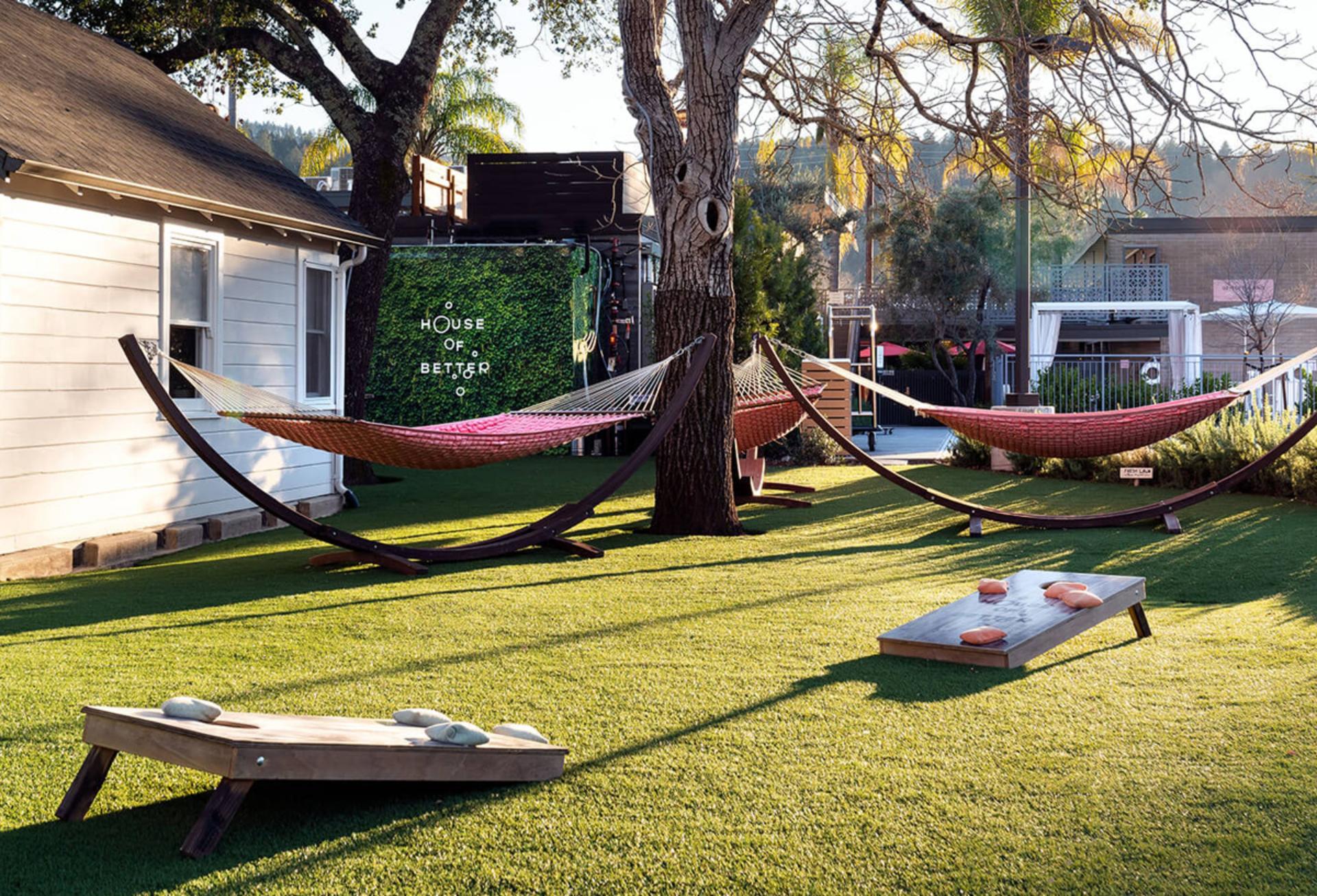 The Backyard