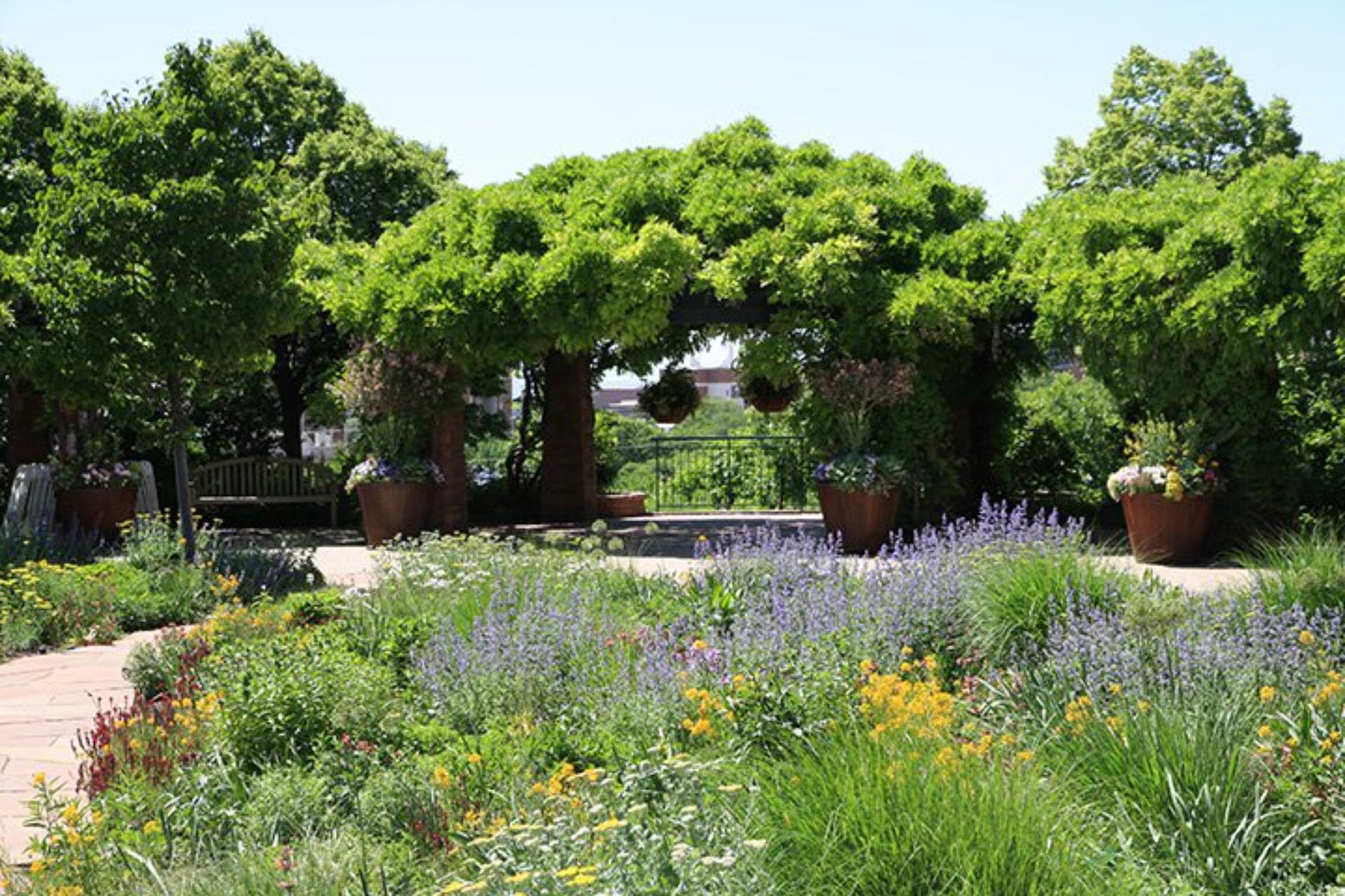 The Fragrance Garden