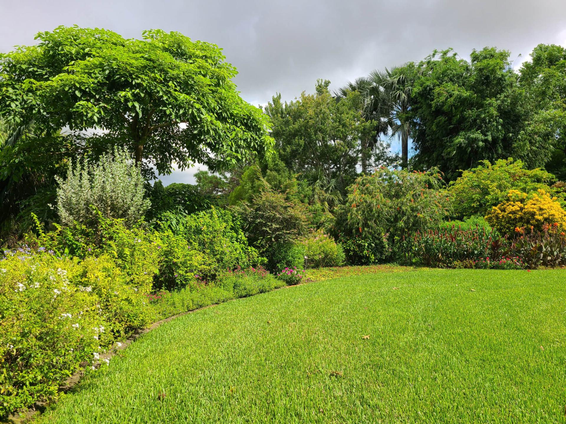 Rainbow Garden