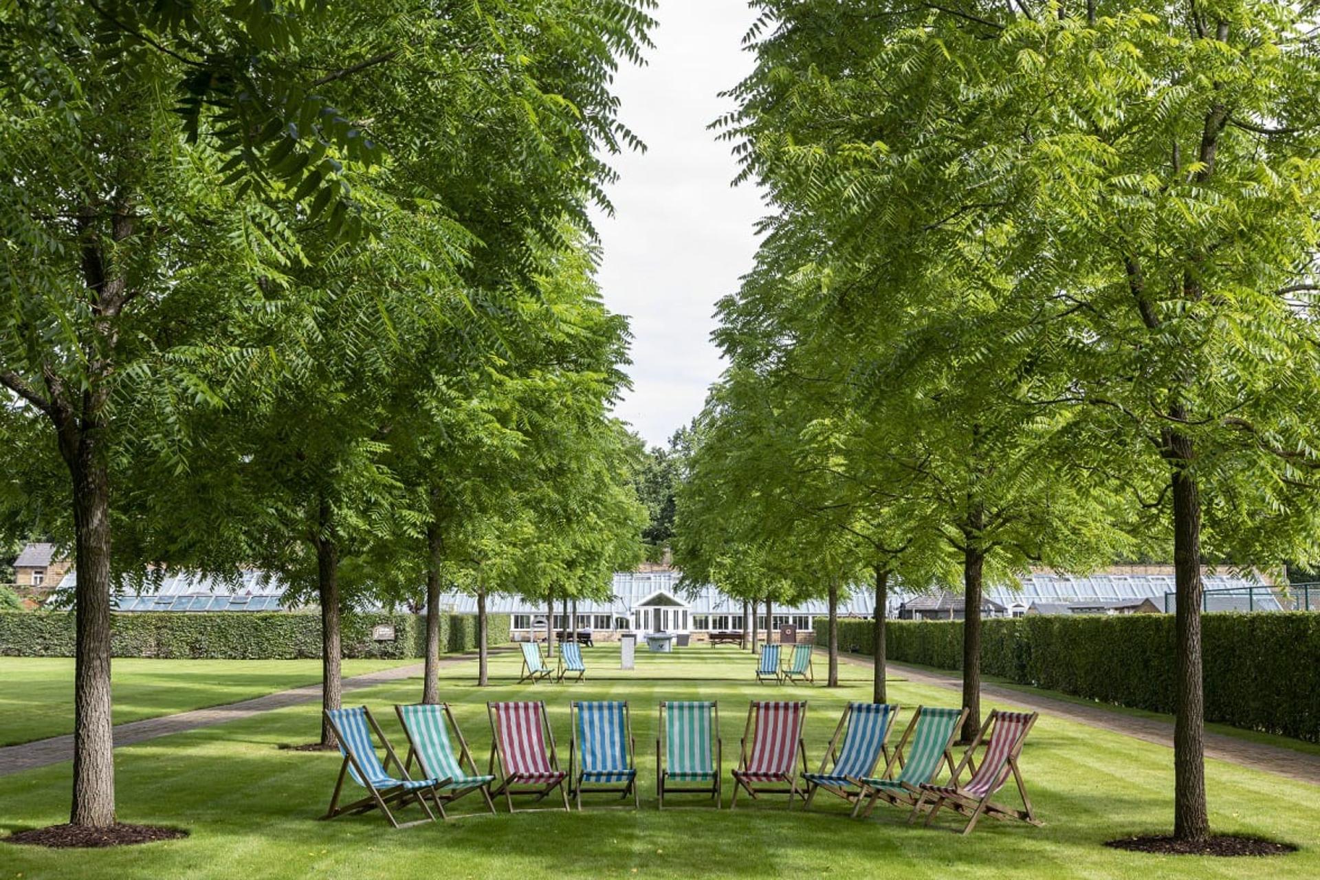 Full Buyout of The Grove