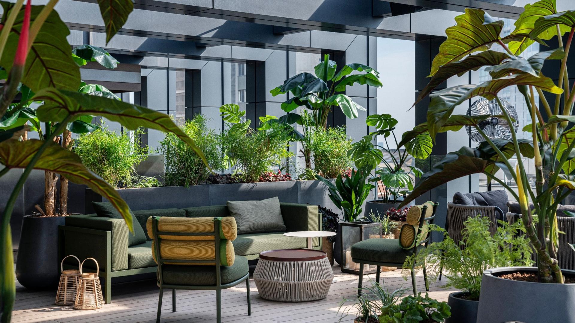 Full Buyout of Organics SkyGarden @Cielo