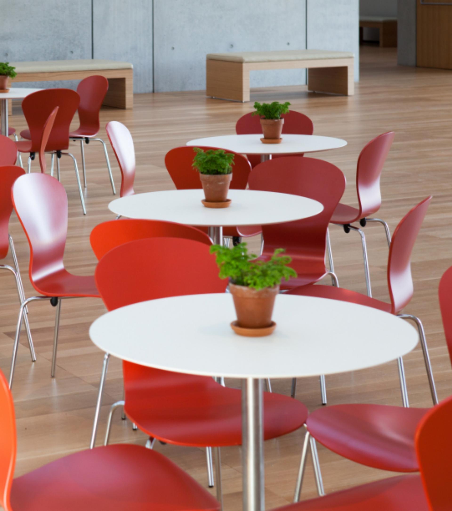 Semi-Private Luncheons and Receptions