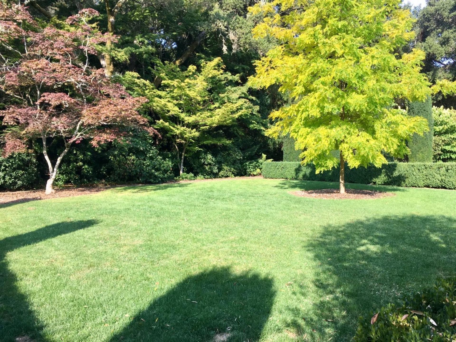 Pool Pavilion Lawn
