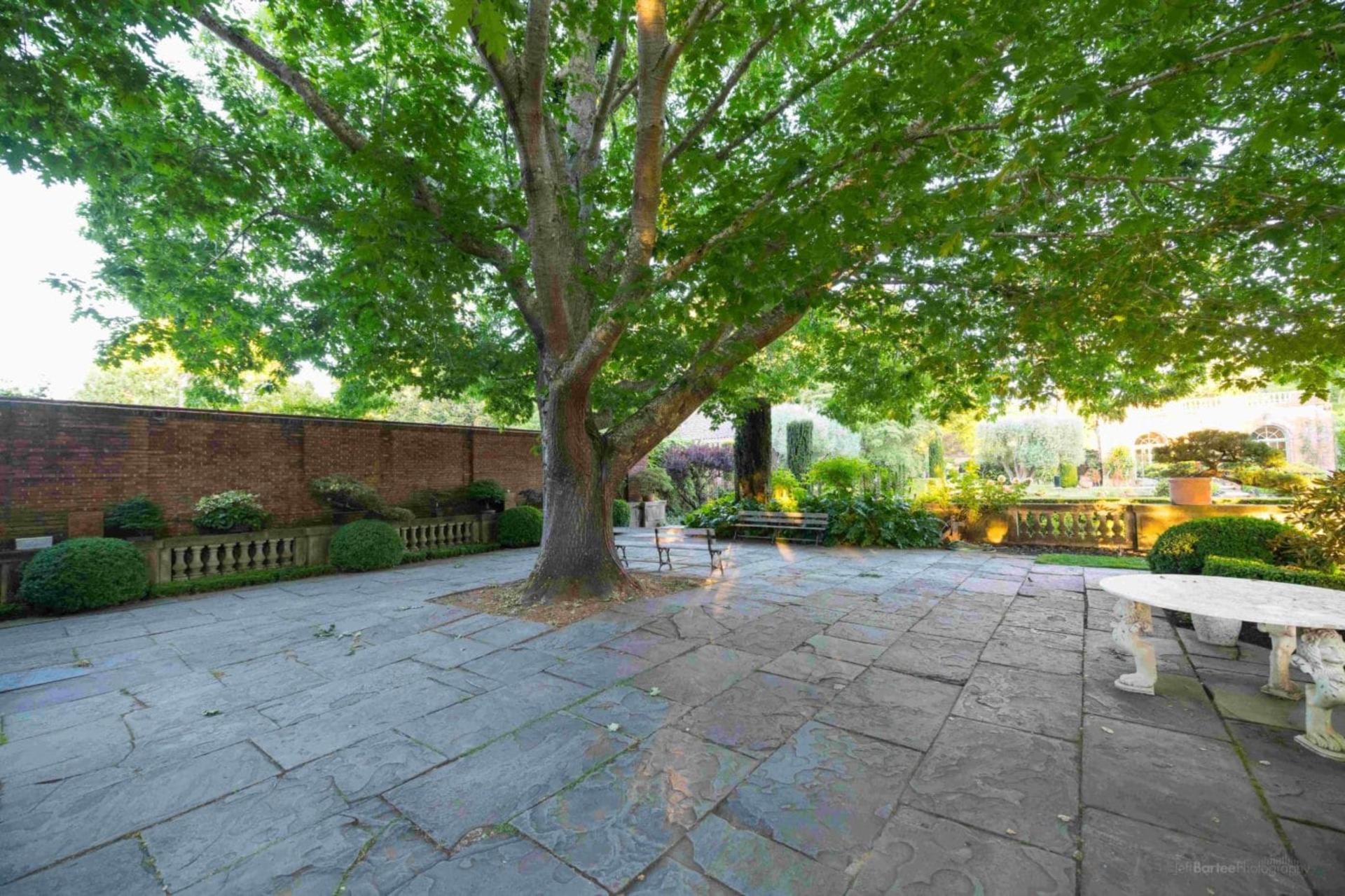 Dining Room Terrace