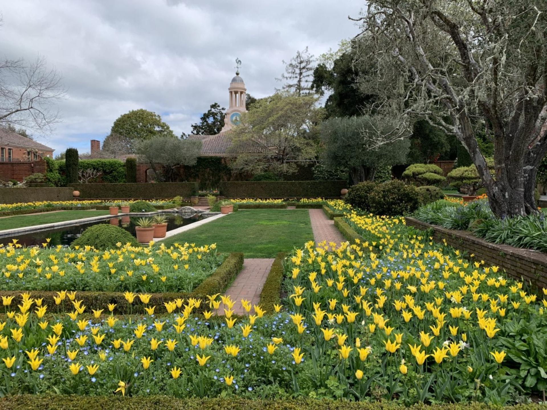 Sunken Garden