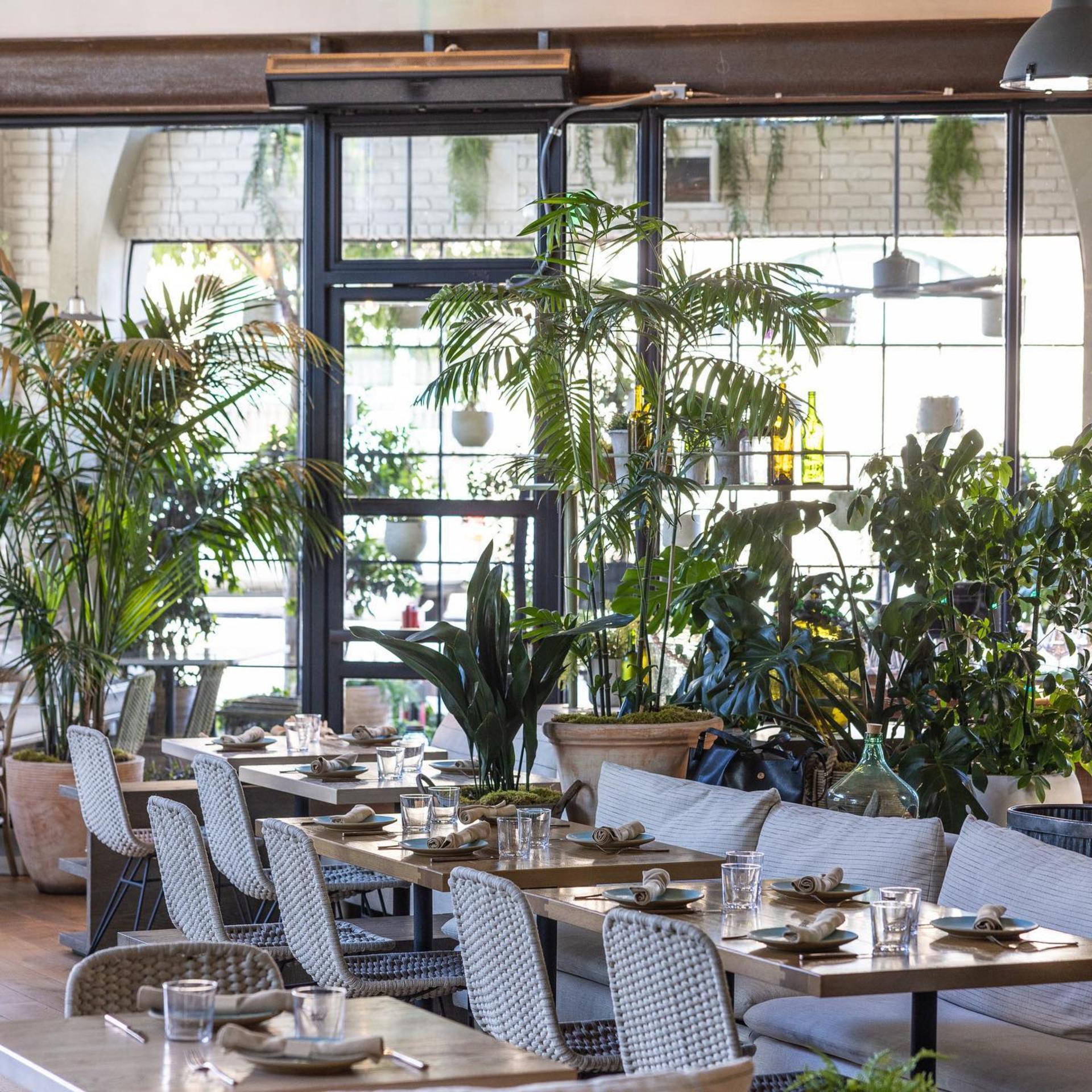 Outdoor Area