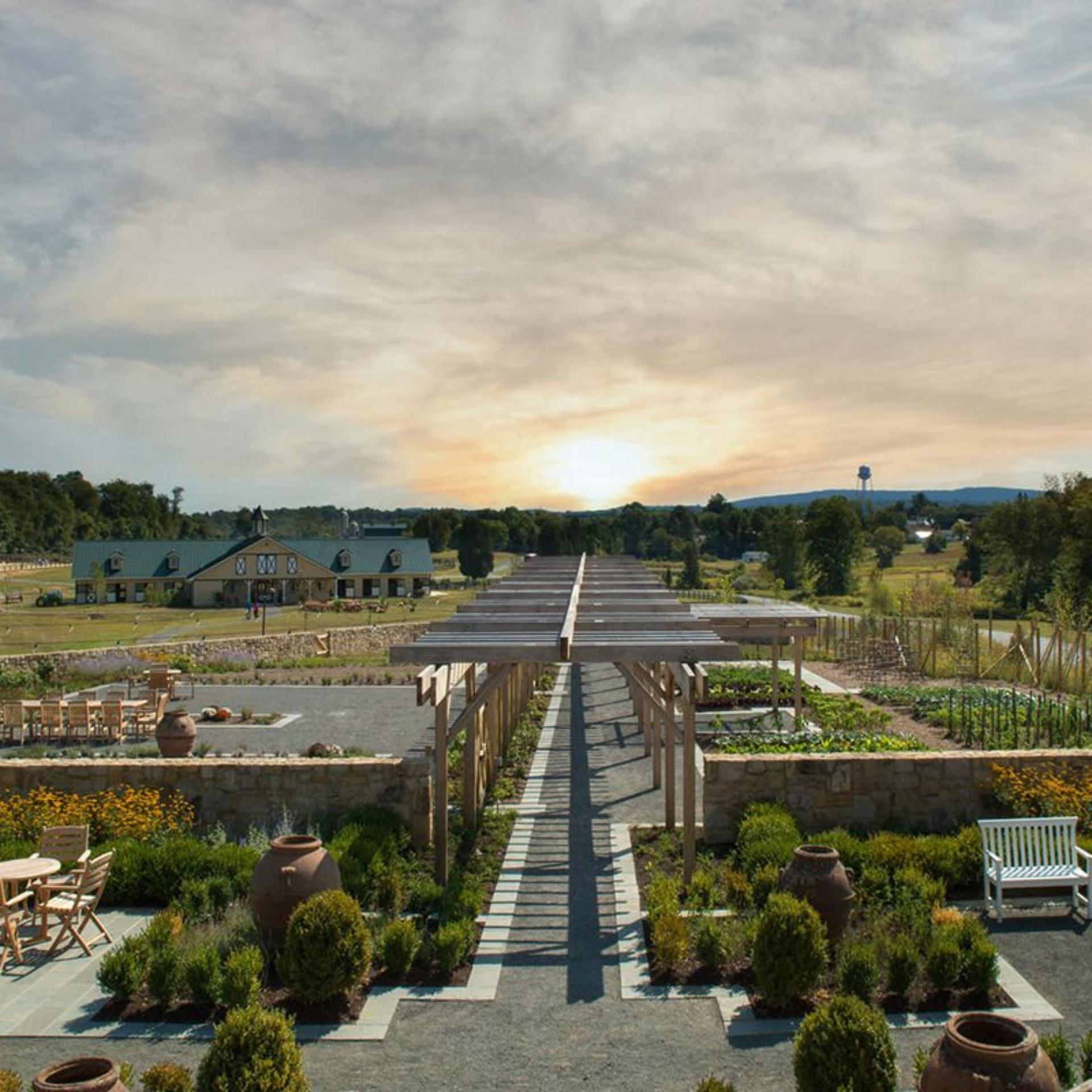 Culinary Garden