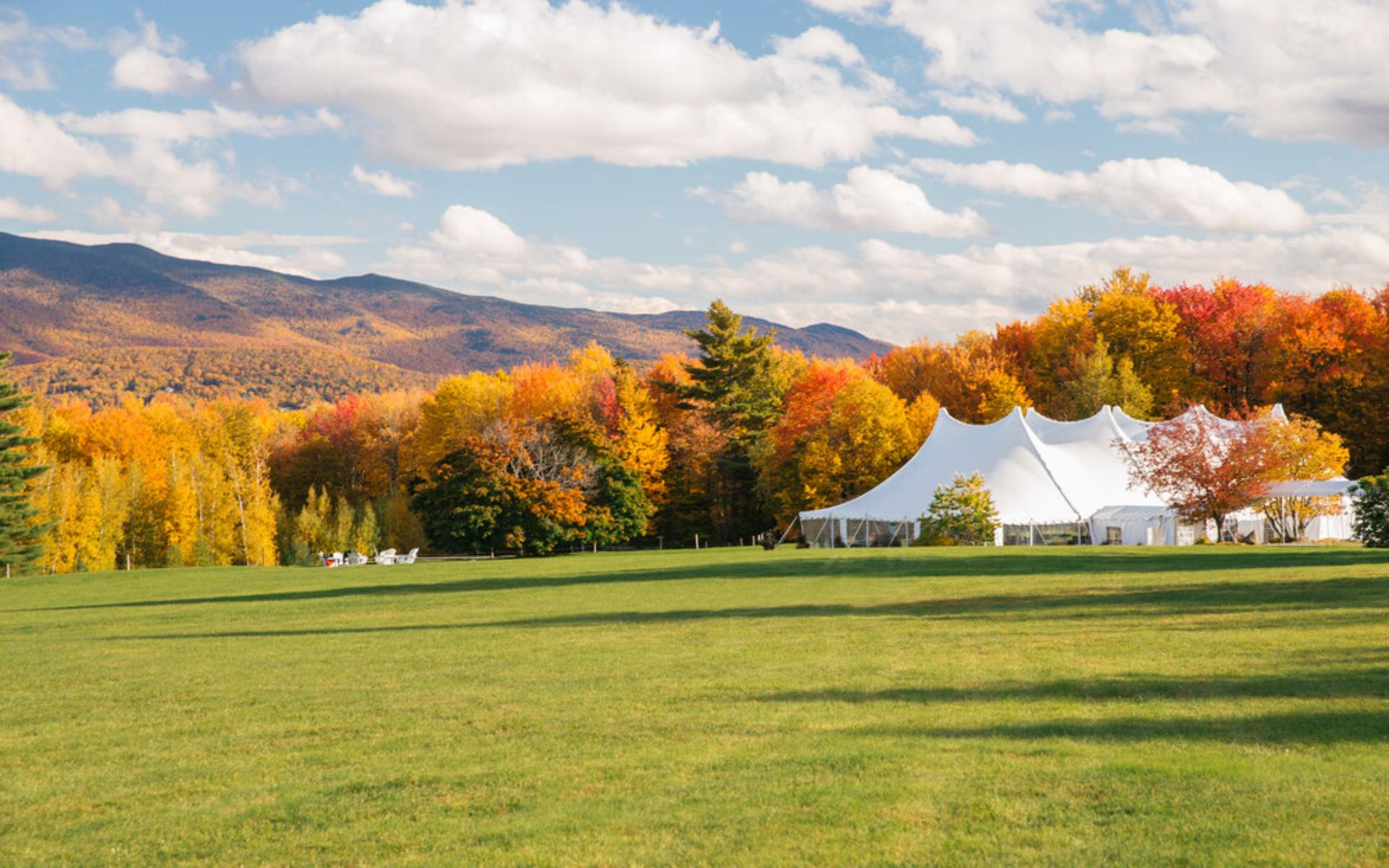 Wedding Meadow