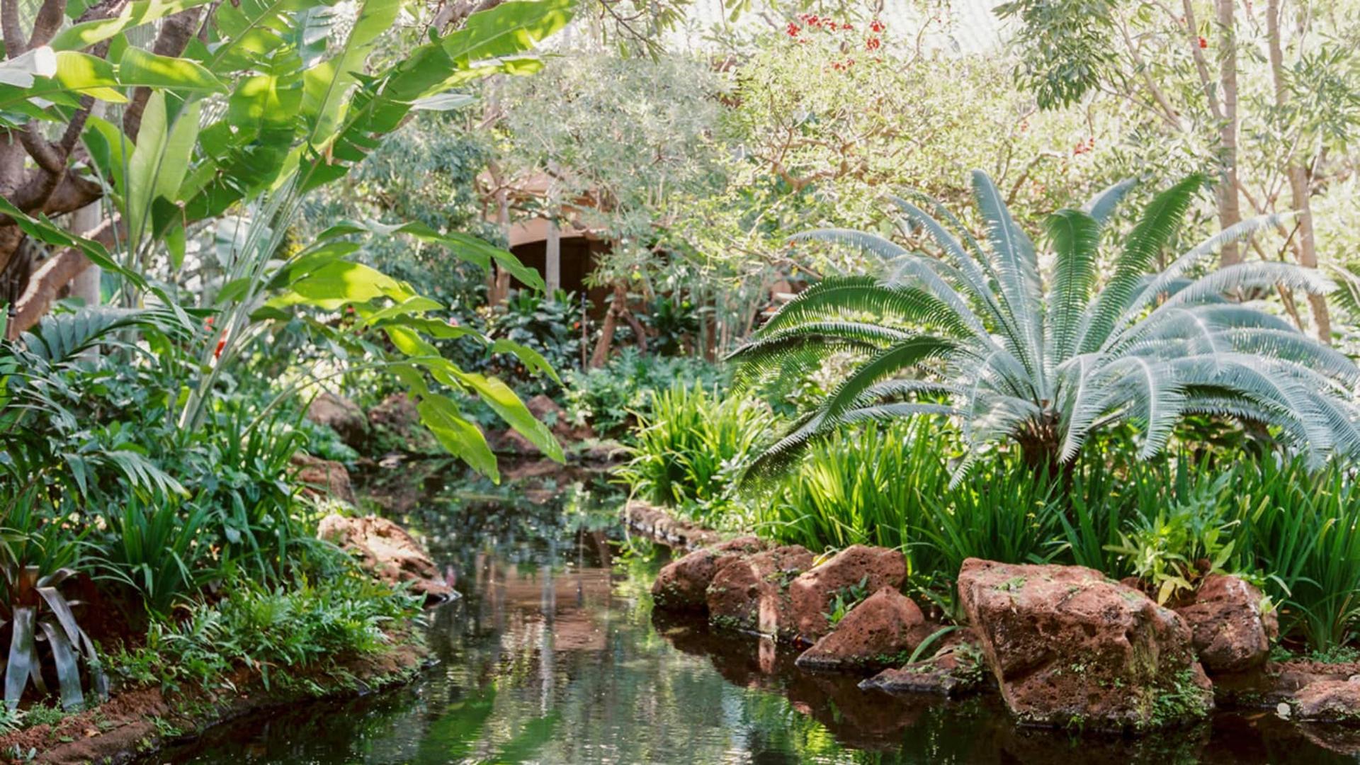 Cascades