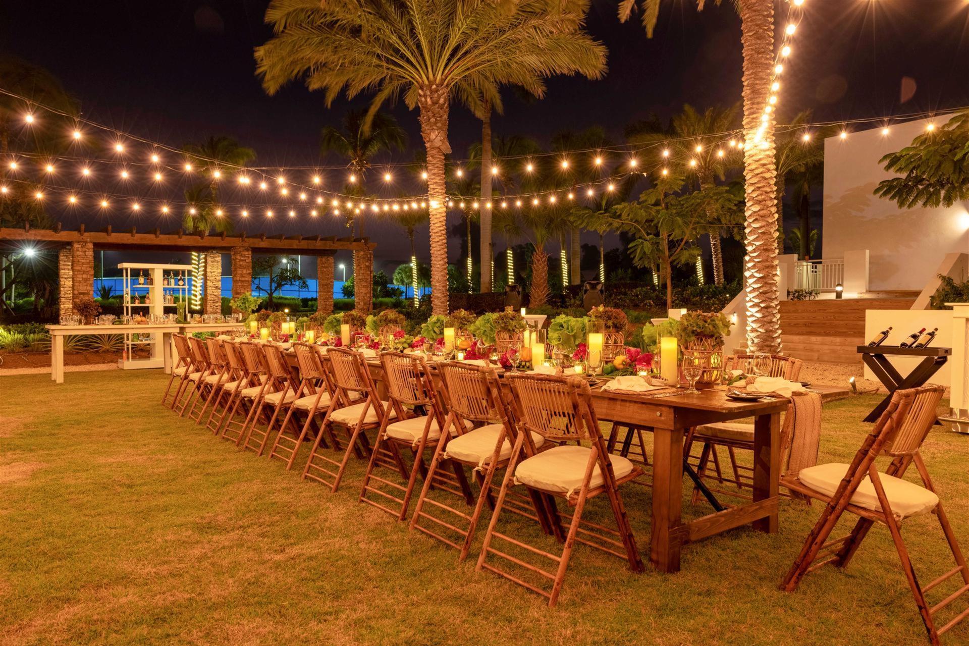 Hydroponic Lawn