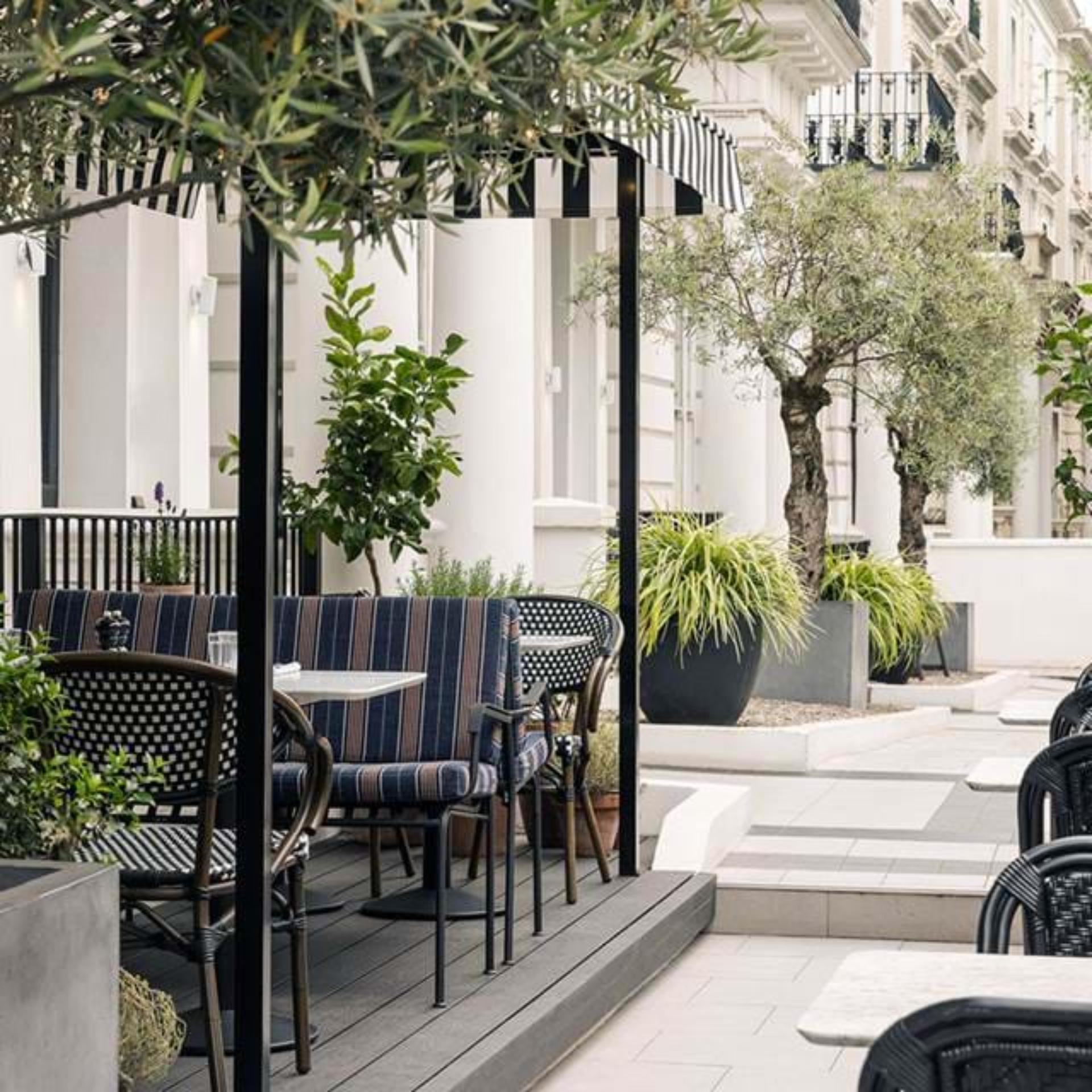 The Terrace
