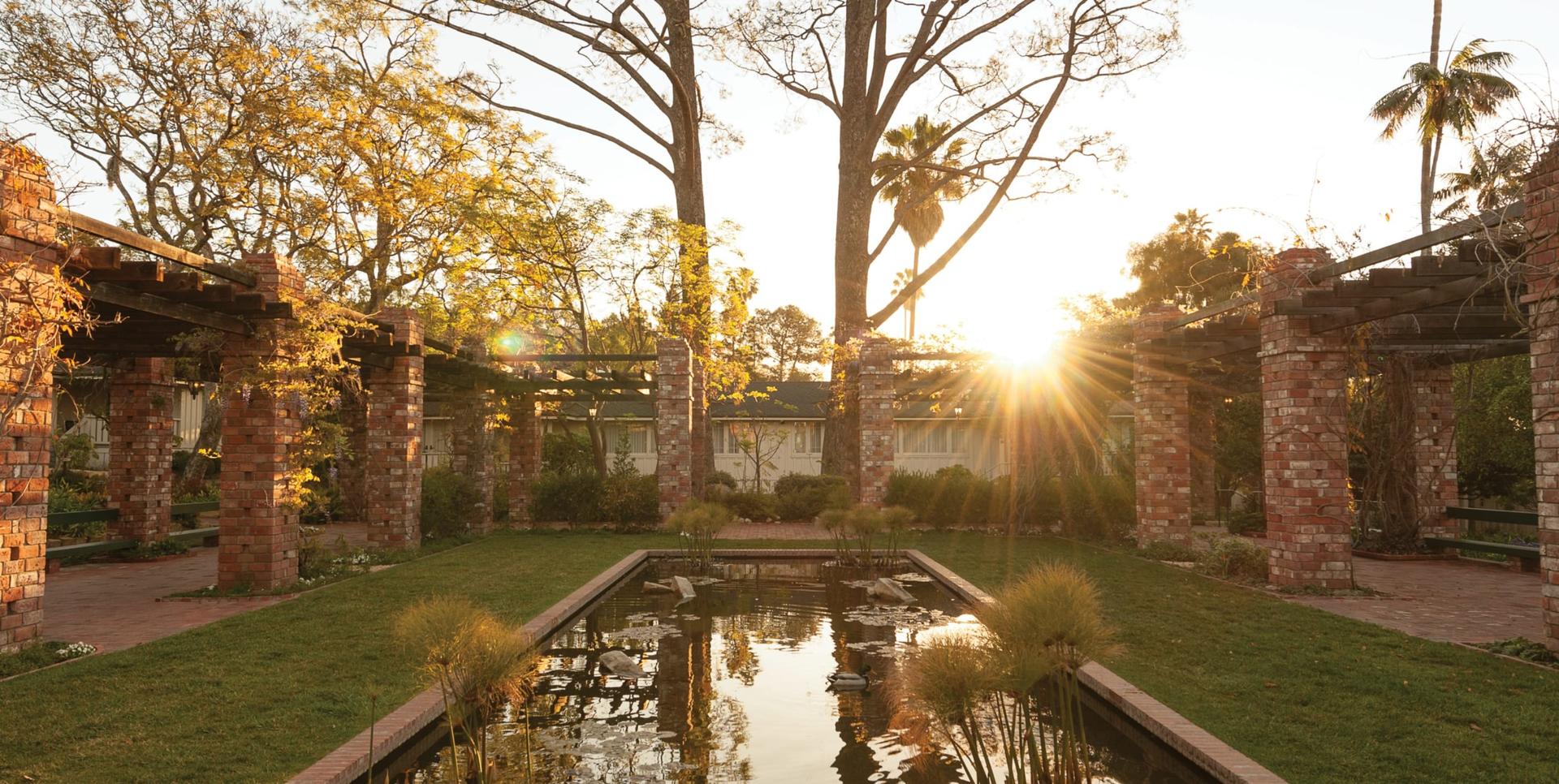 Arbor and Lily Pond