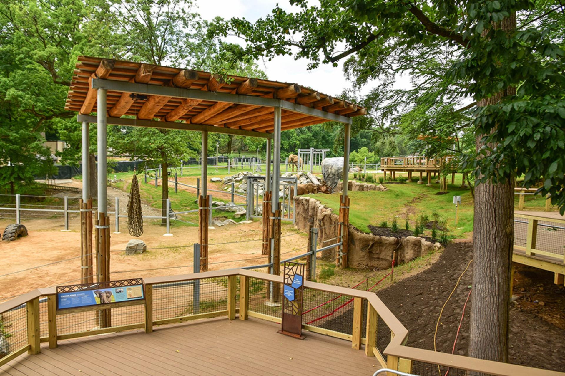 Elephant Overlook
