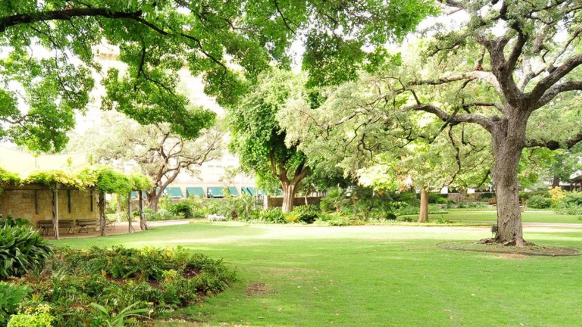 Alamo Gardens - Center Gardens