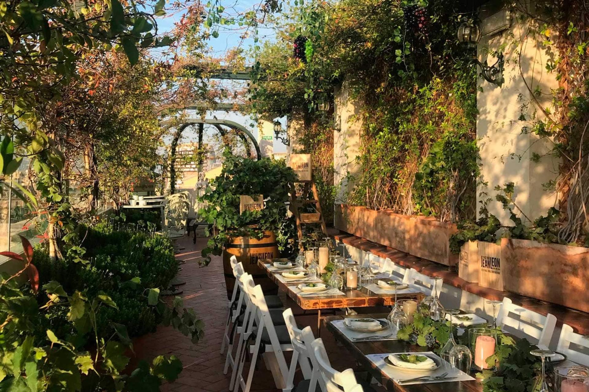 Rooftop Garden