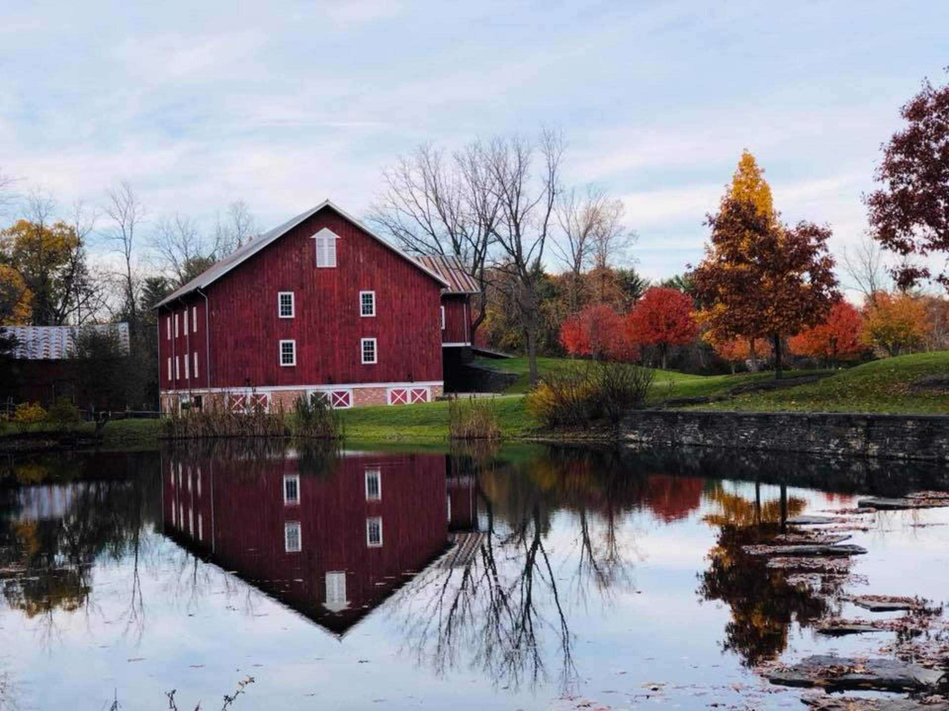 The Barn