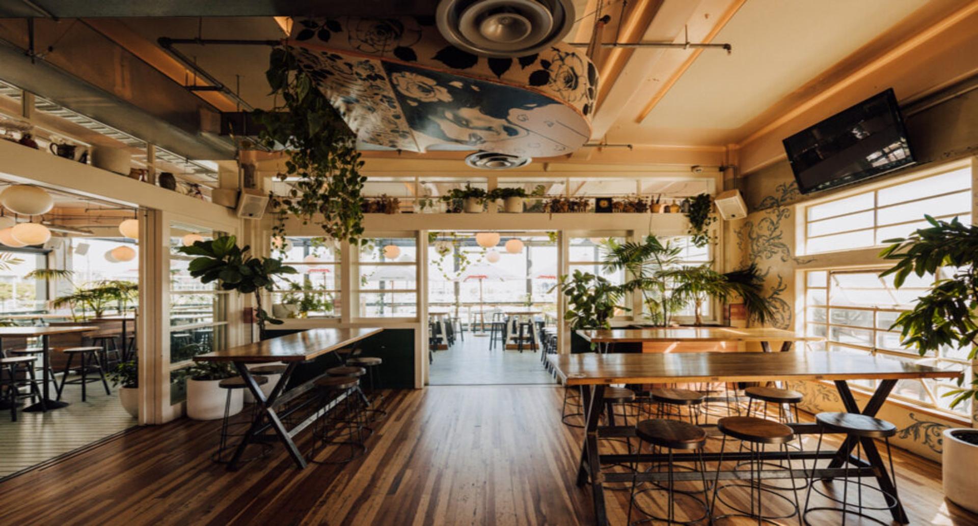 Full Buyout of Saint Alice