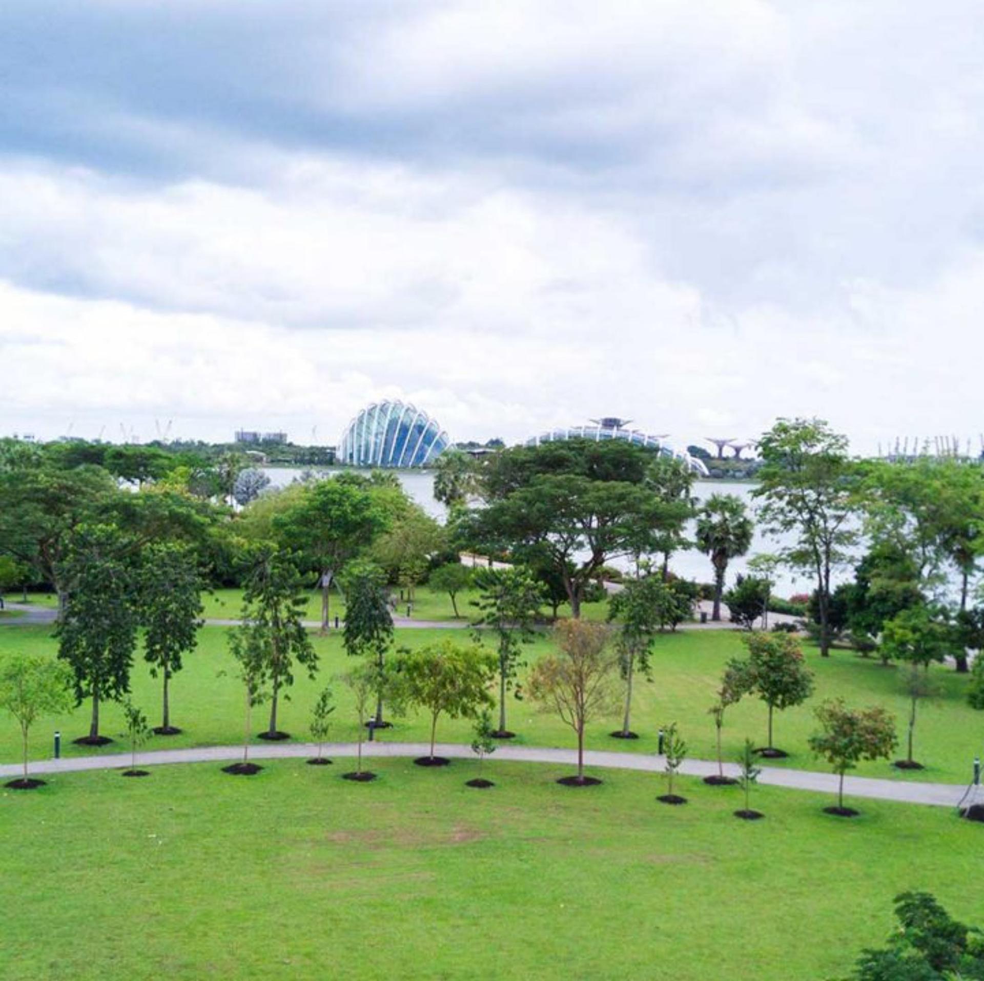 Promenade Lawn