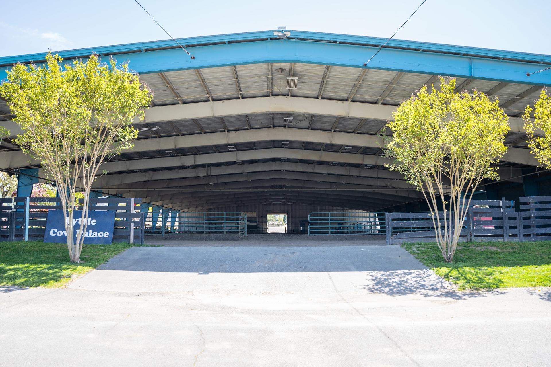 Lyttle Cow Palace