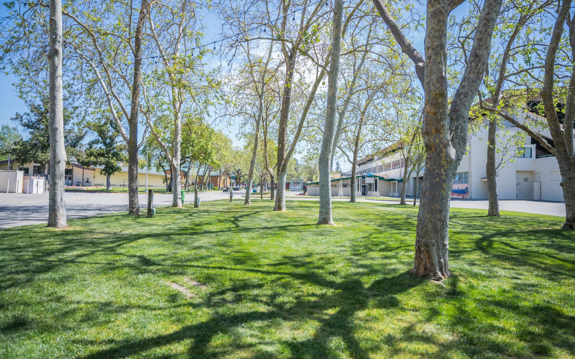 Parks & Picnic Areas