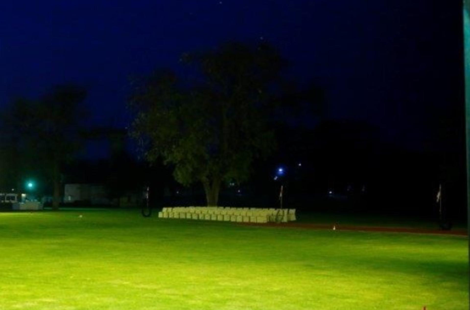 Palace Lawns