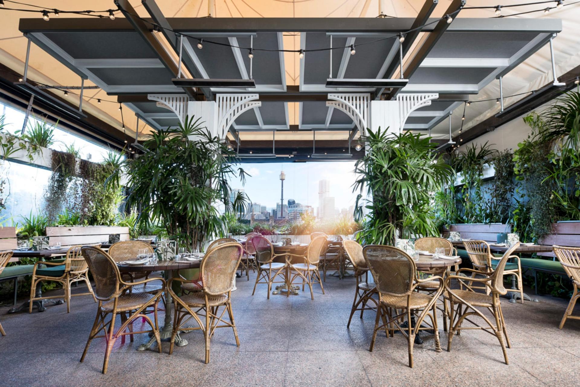 The Terrace