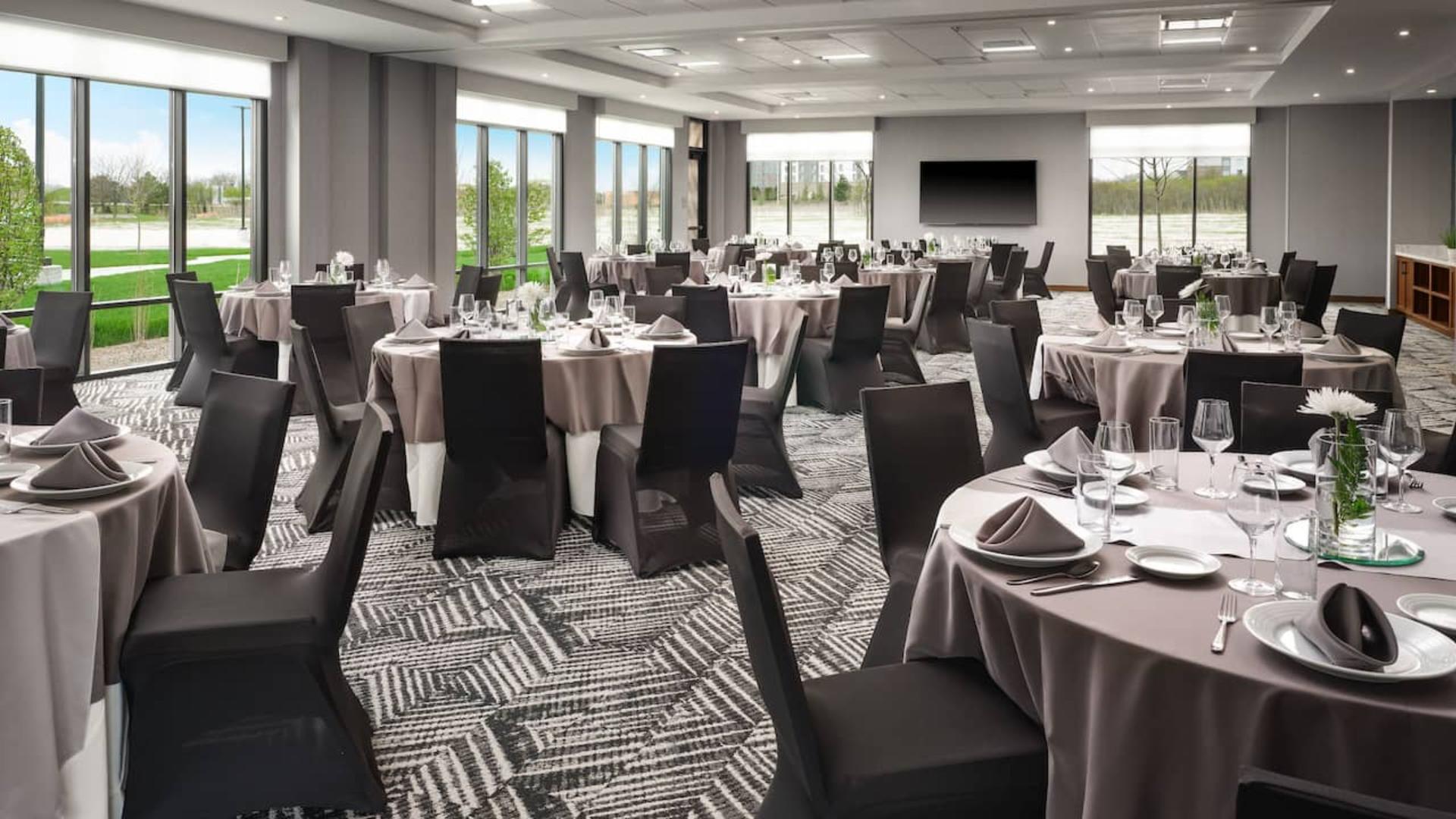 The Aster Room B