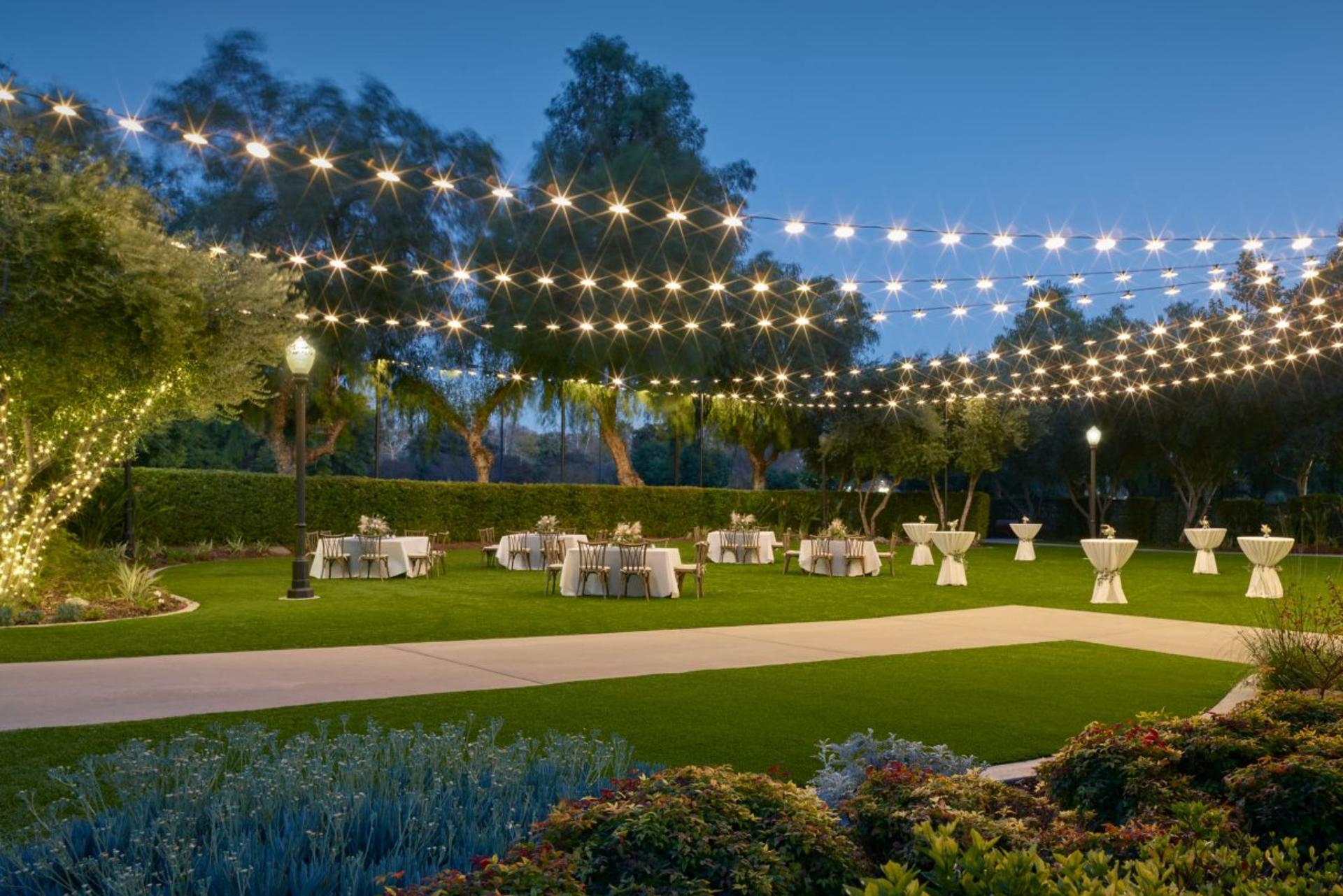 The Lawn