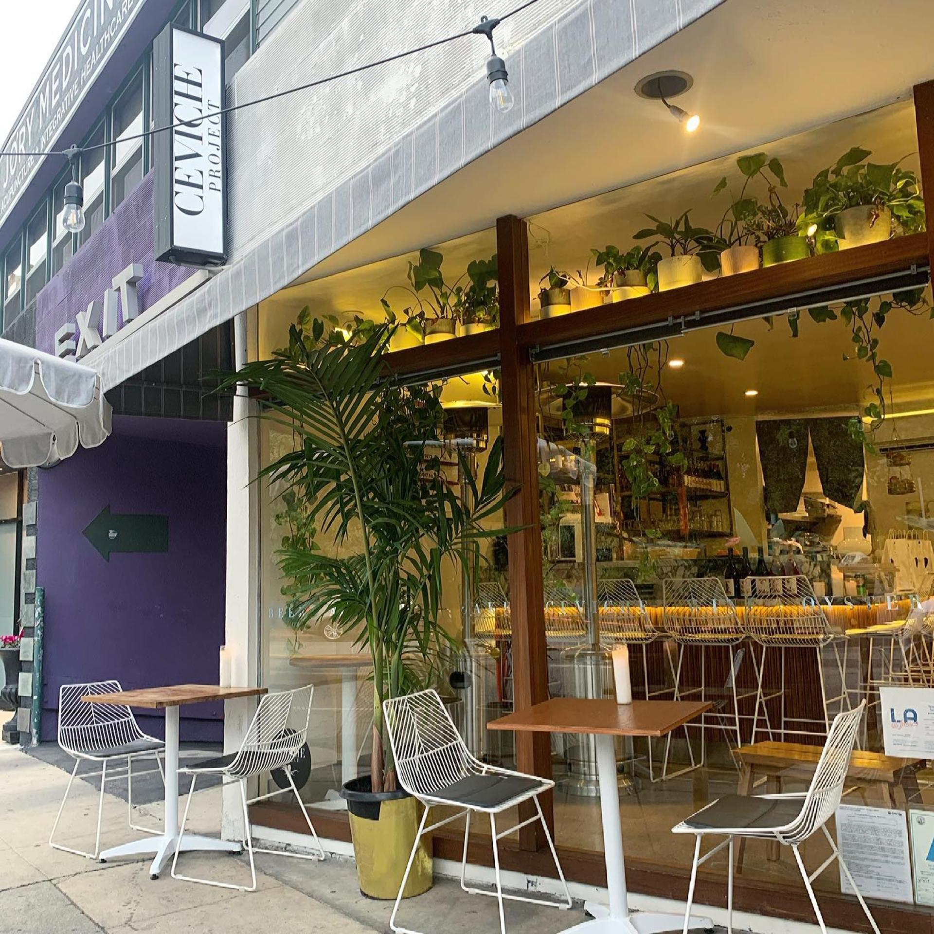 Full Buyout of Ceviche Project