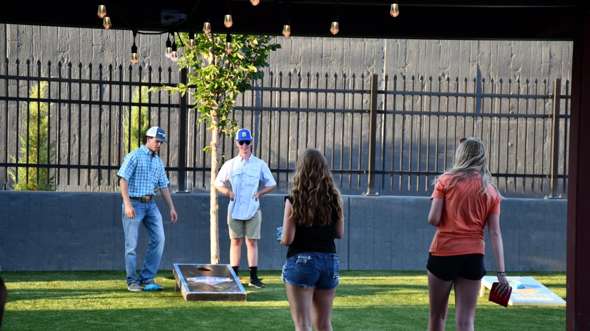 The Backyard & Hop & Sting Brewery Bar