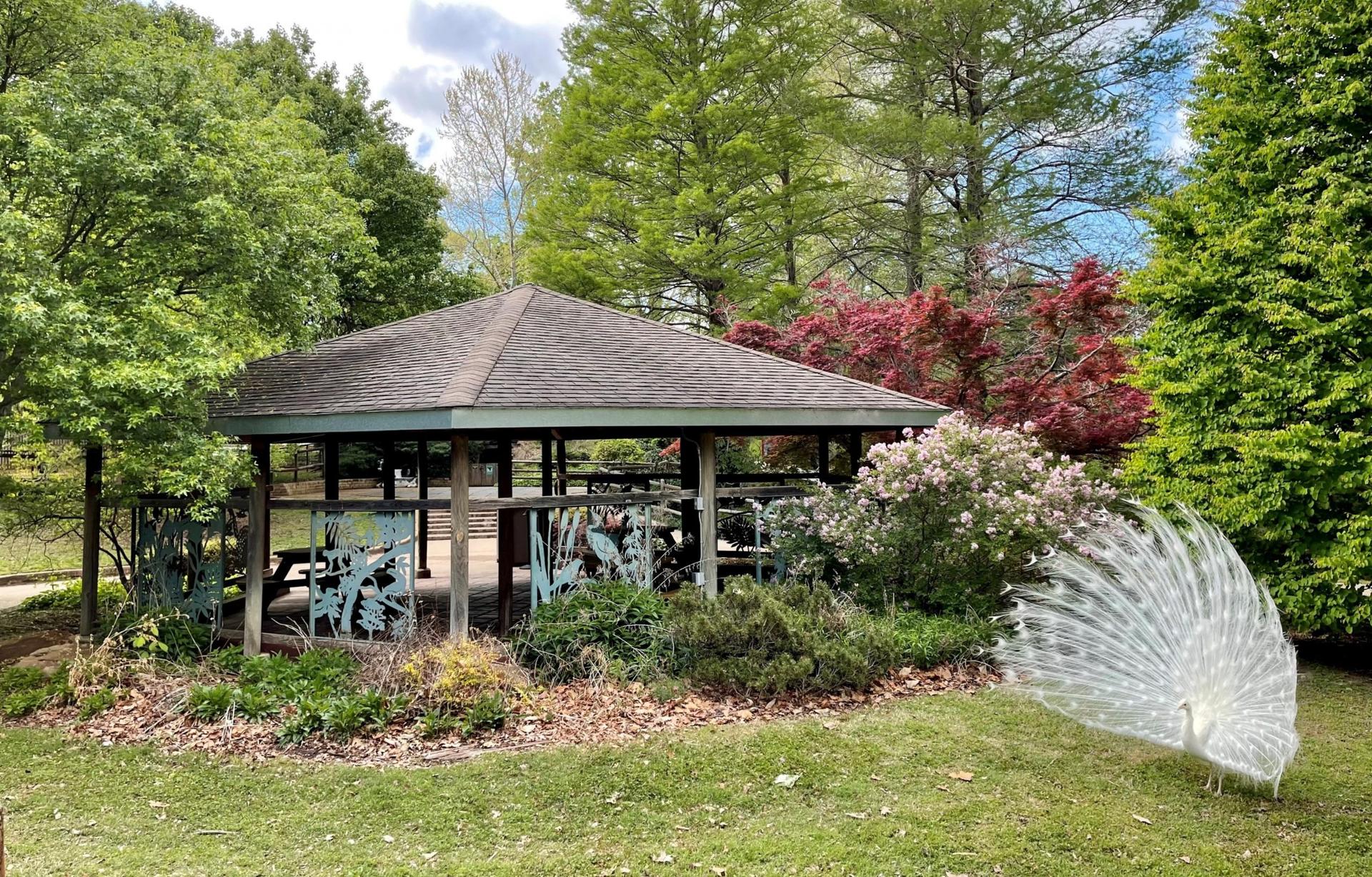 Children’s Zoo Gazebo
