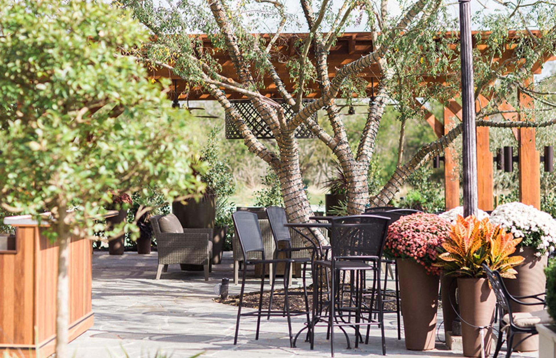 The Terrace